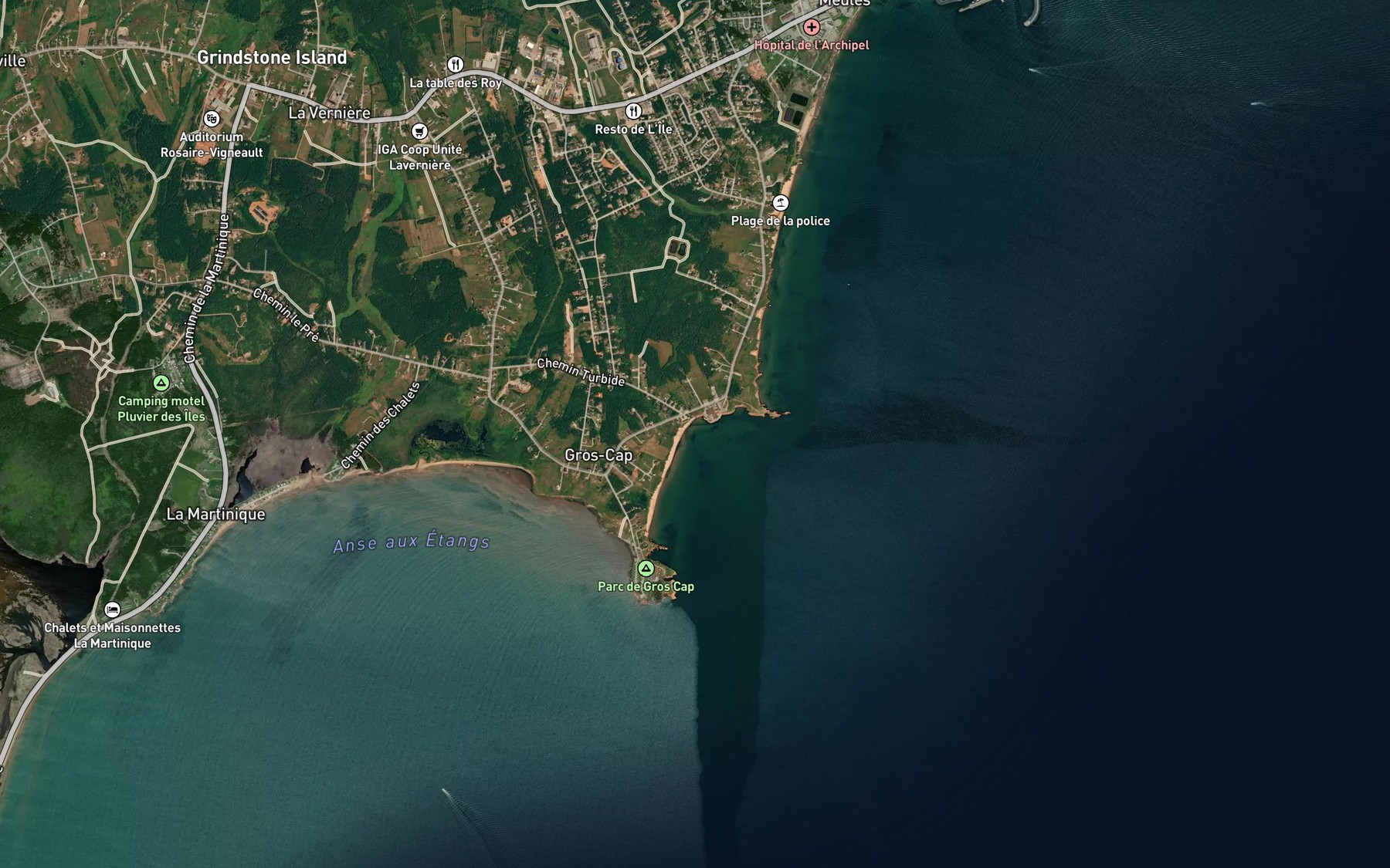 Satellite map of the La Veine d'Eau