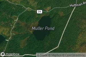 Muller Pond