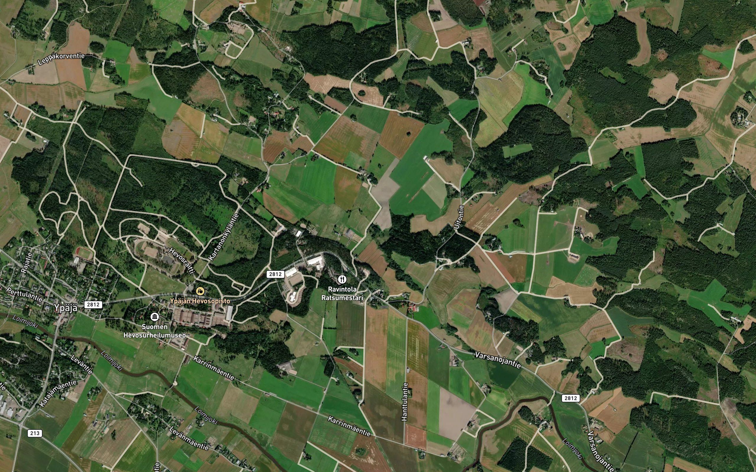 Alhonoja