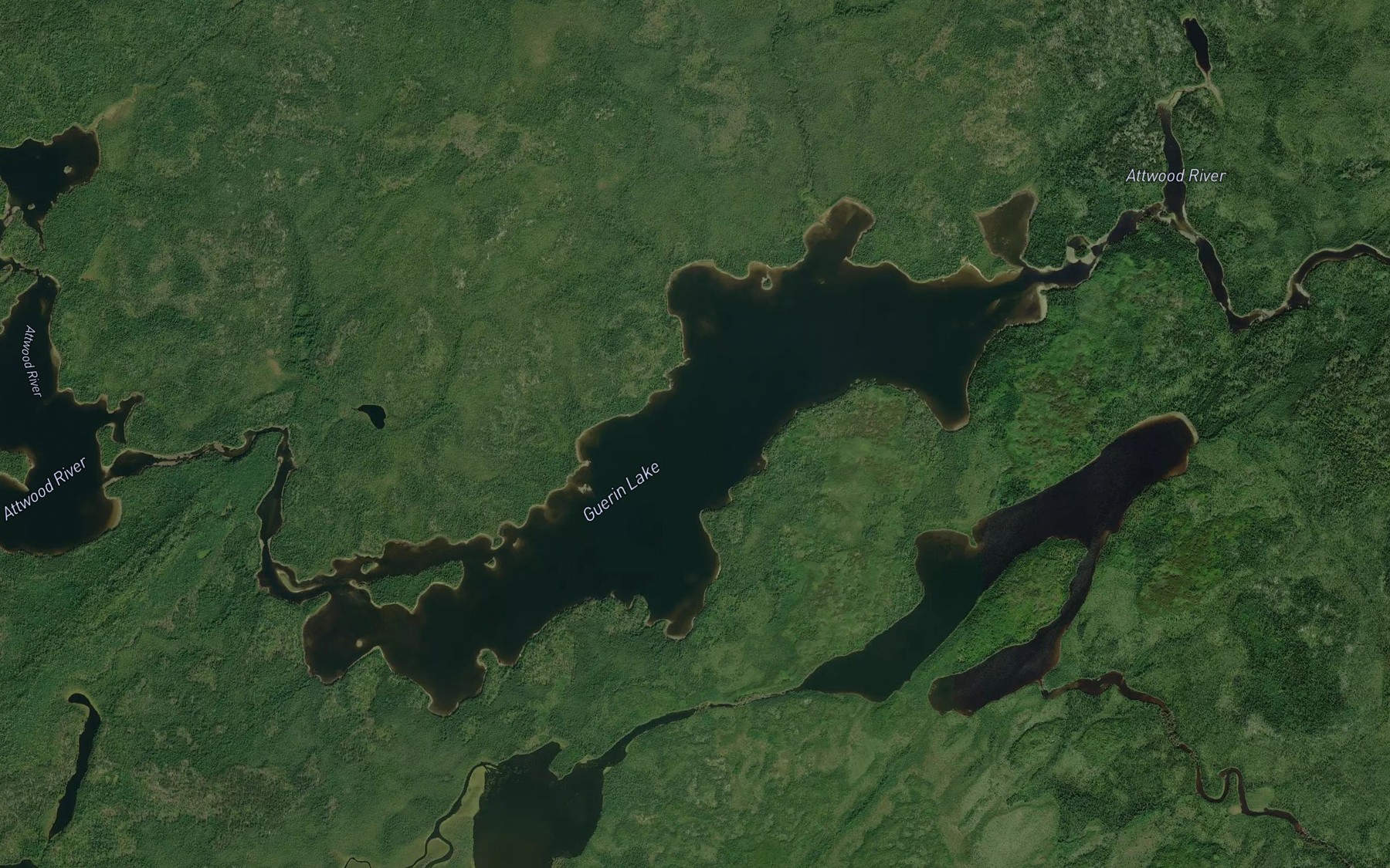 Satellite map of the Guerin Lake