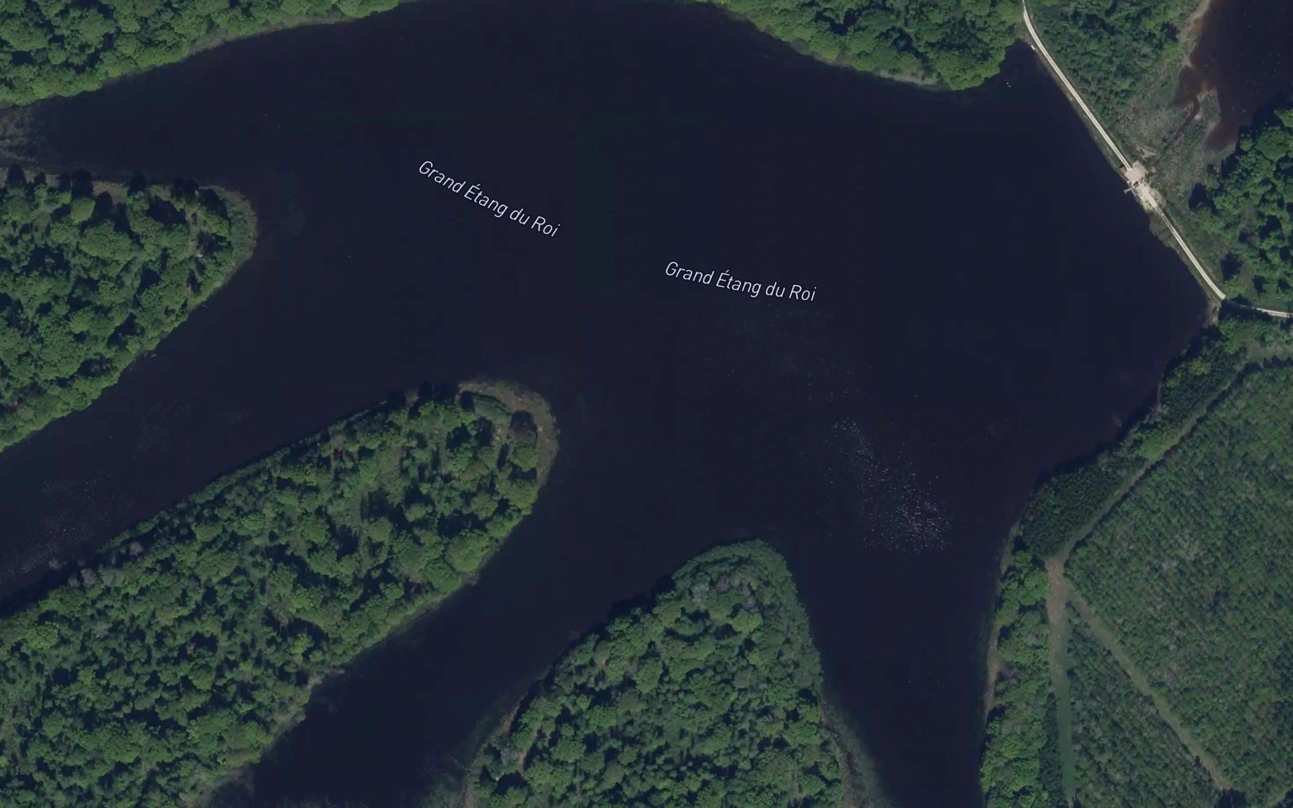 Grand Etang du Roi