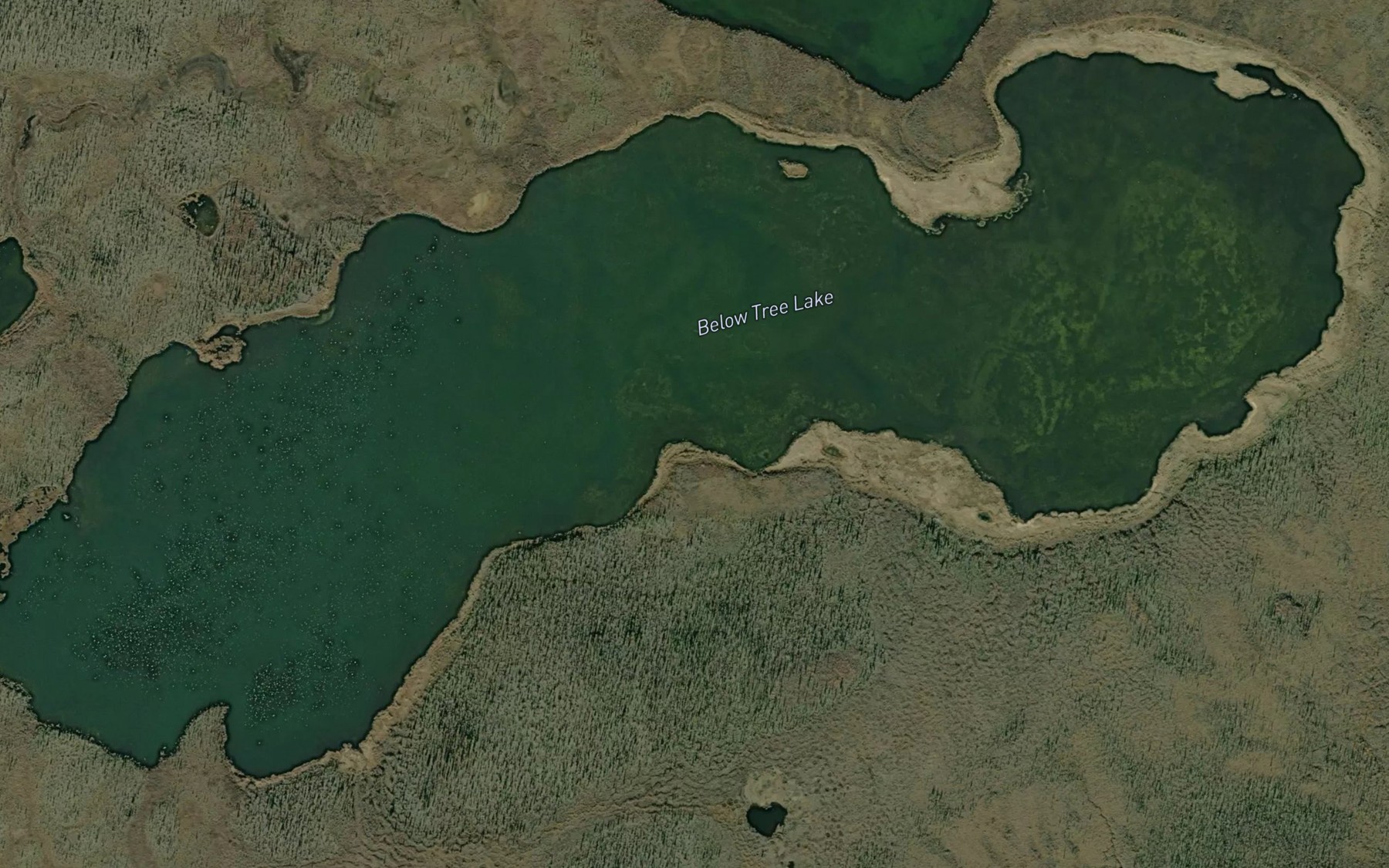 Satellite map of the Below Tree Lake