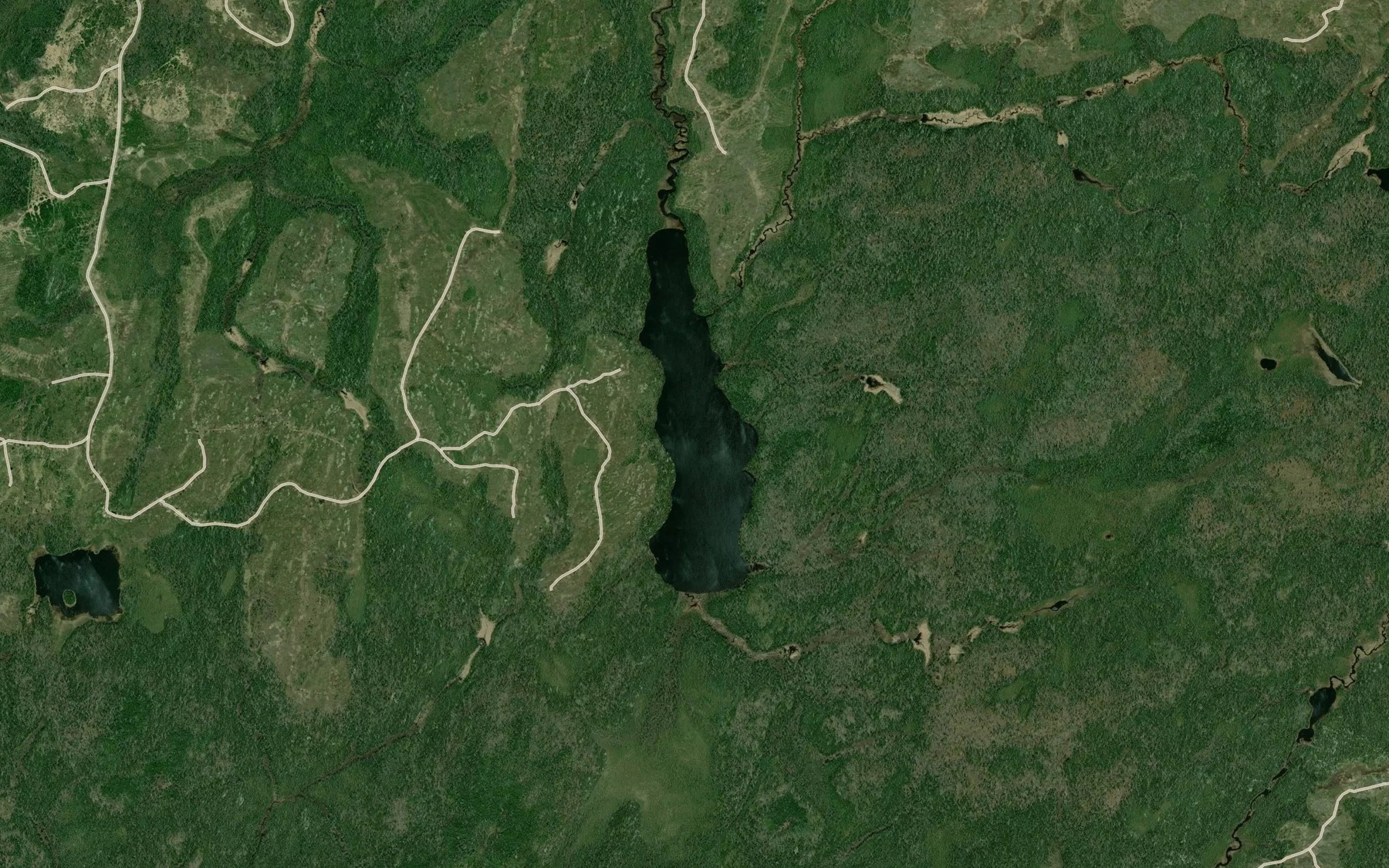 Satellite map of the Major Lake