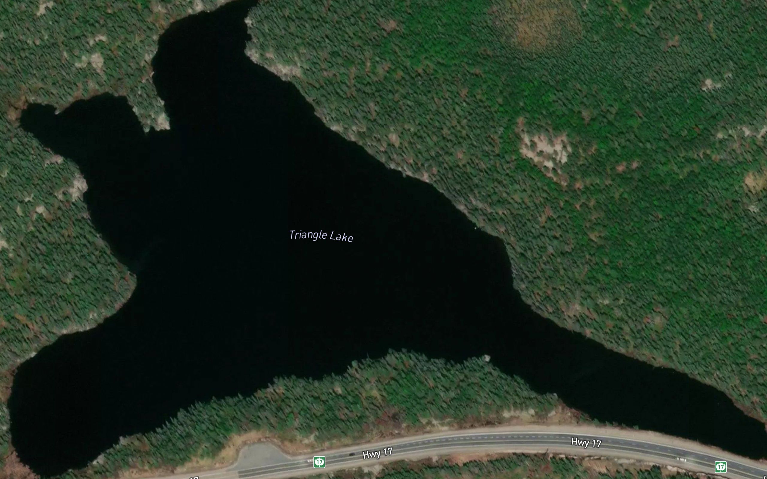 Triangle Lake