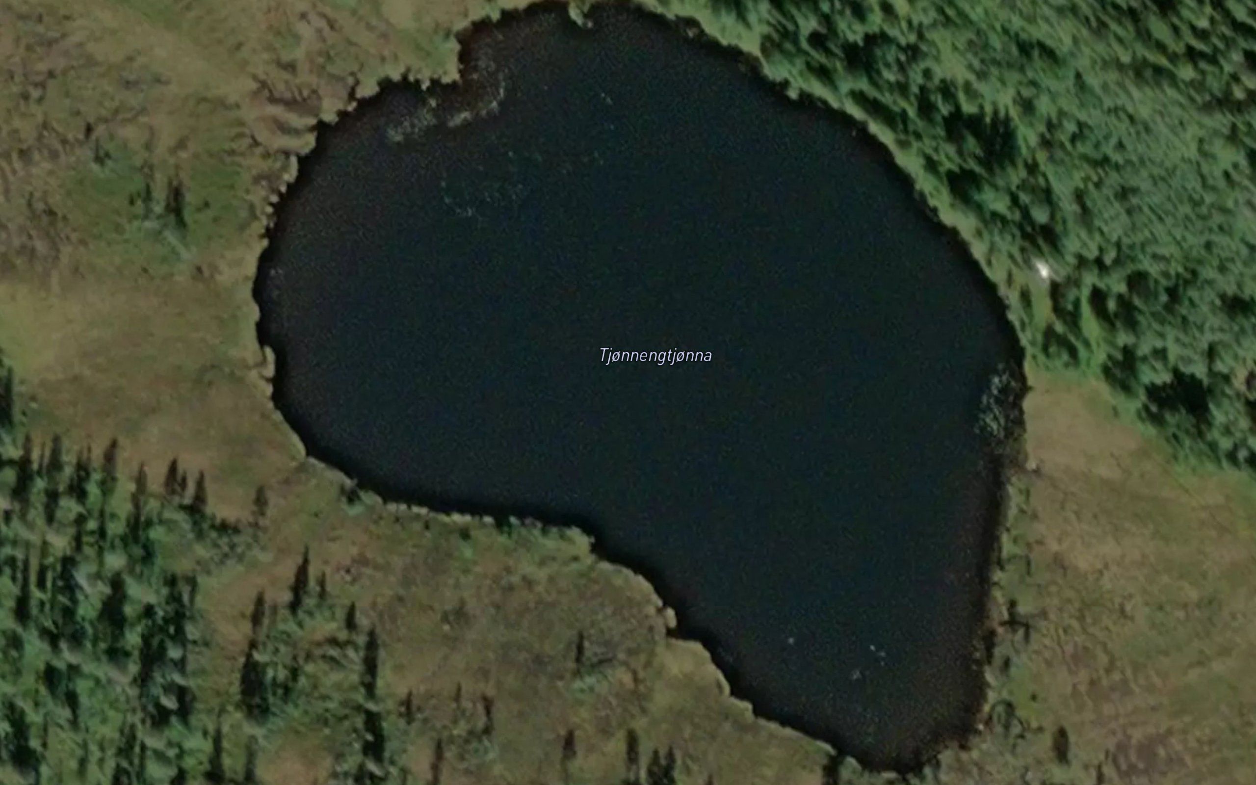 Tjornengtjorna
