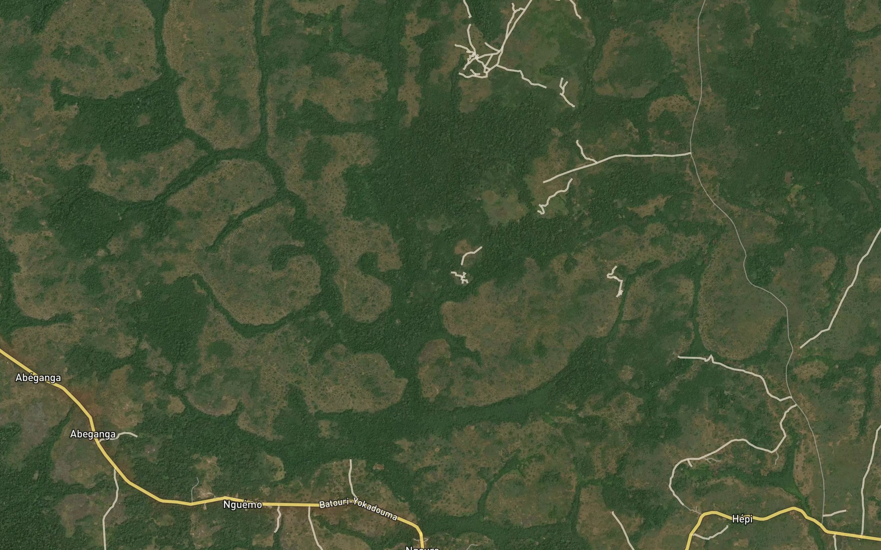 Satellite map of the Angbouke
