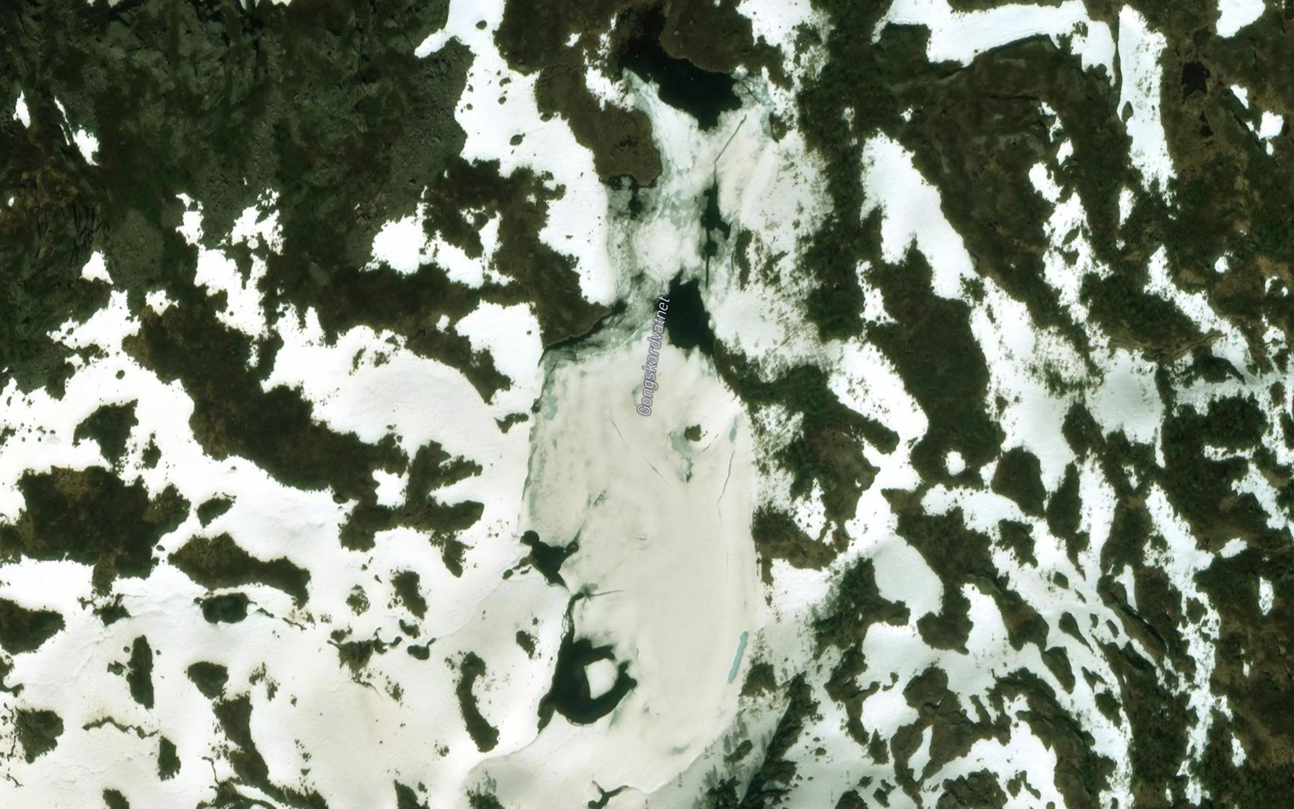 Gongskardvatnet