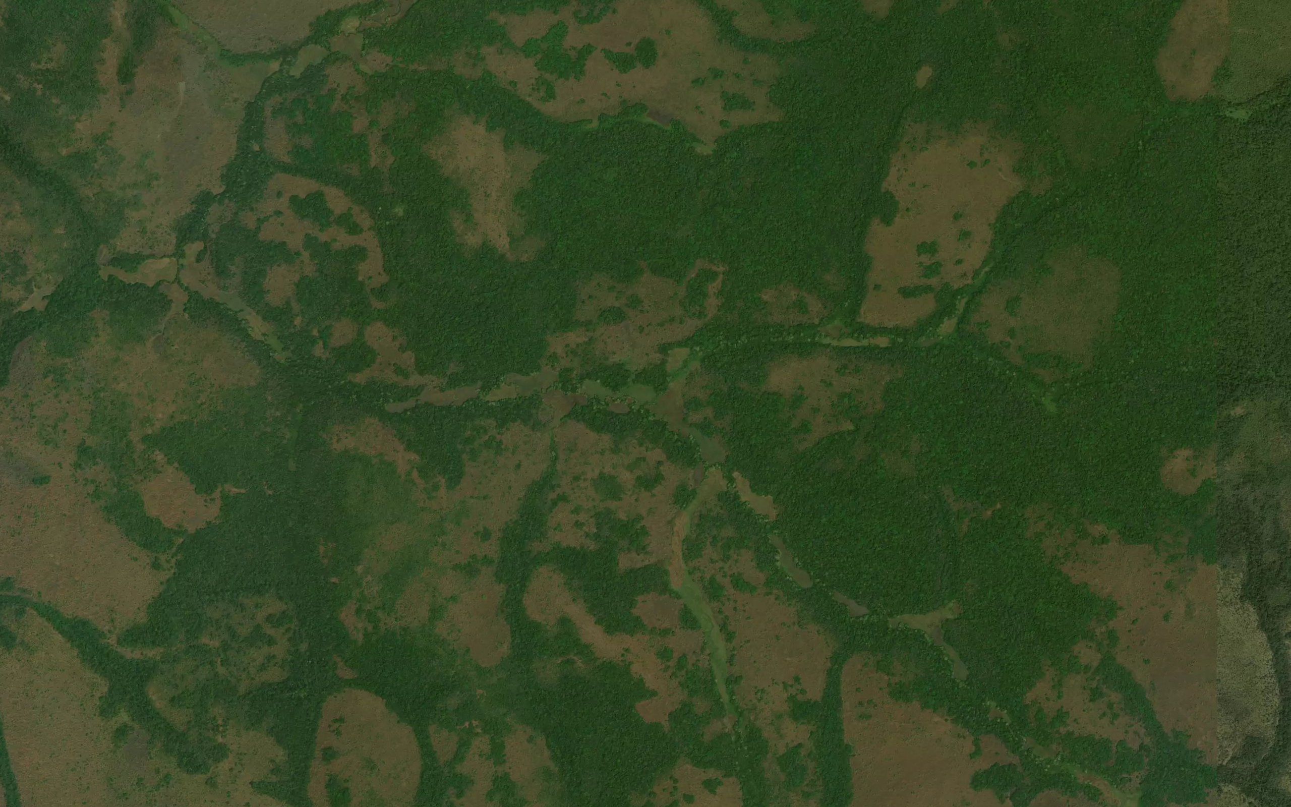 Kongwa