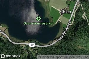 Osbogen