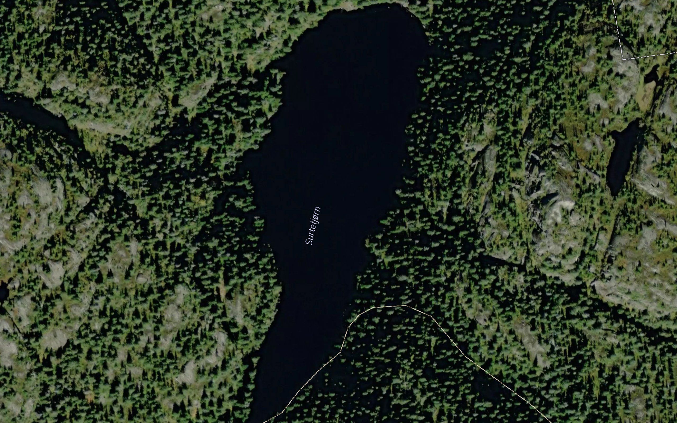 Surtetjorn