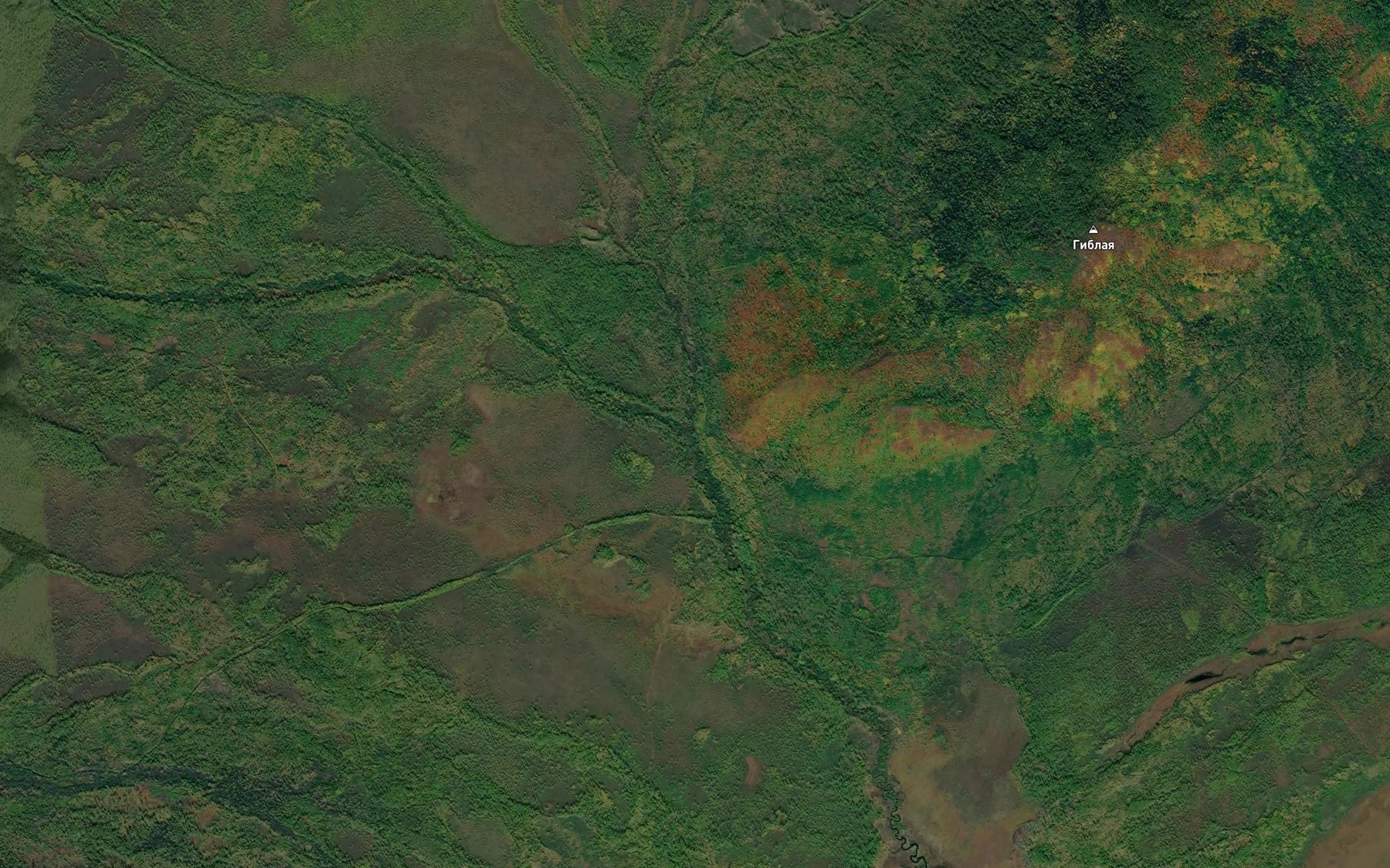 Satellite map of the Polovinka