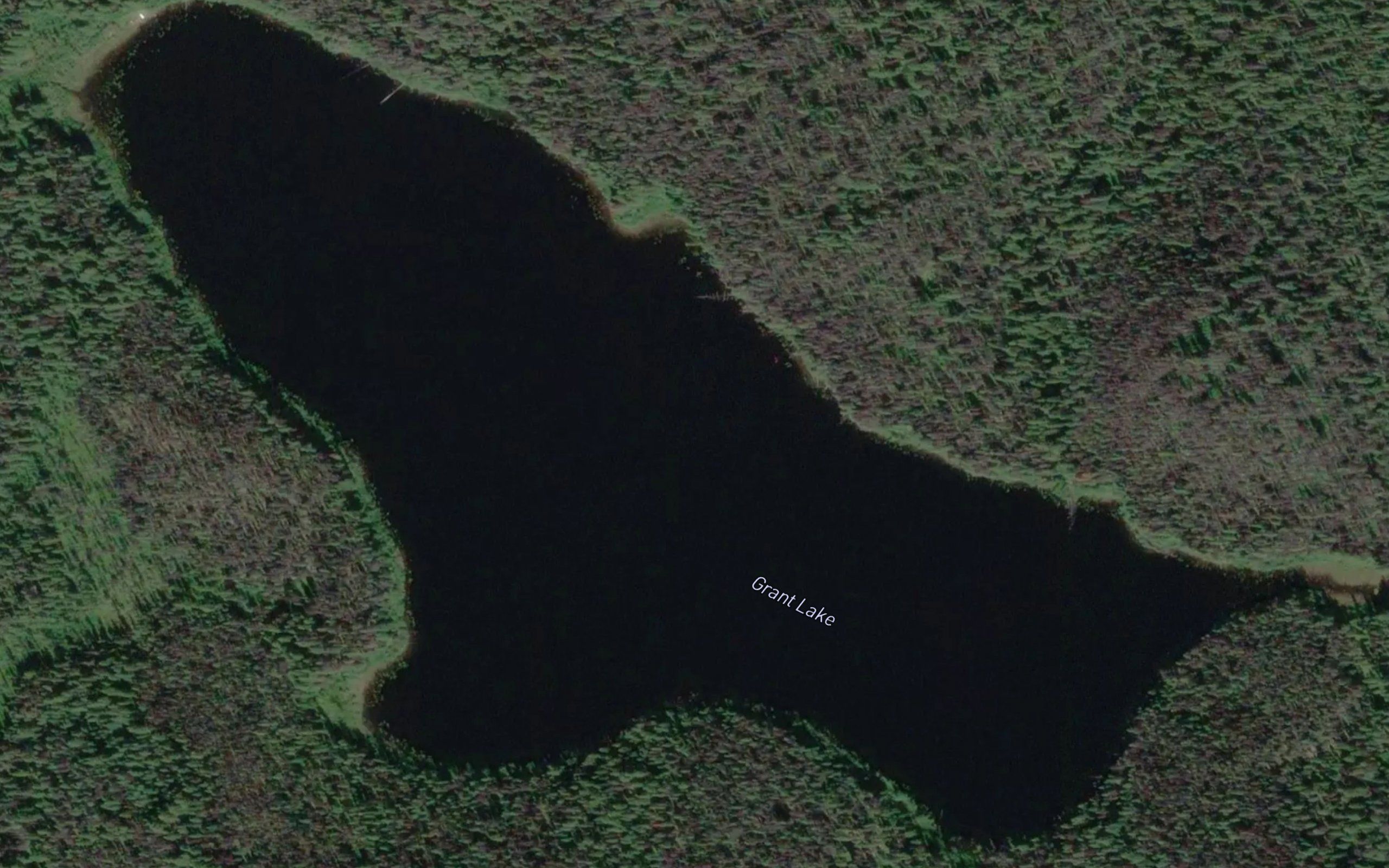 Grant Lake