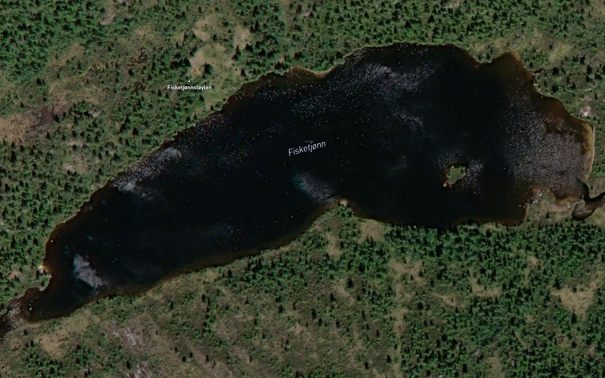 Fisketjorn