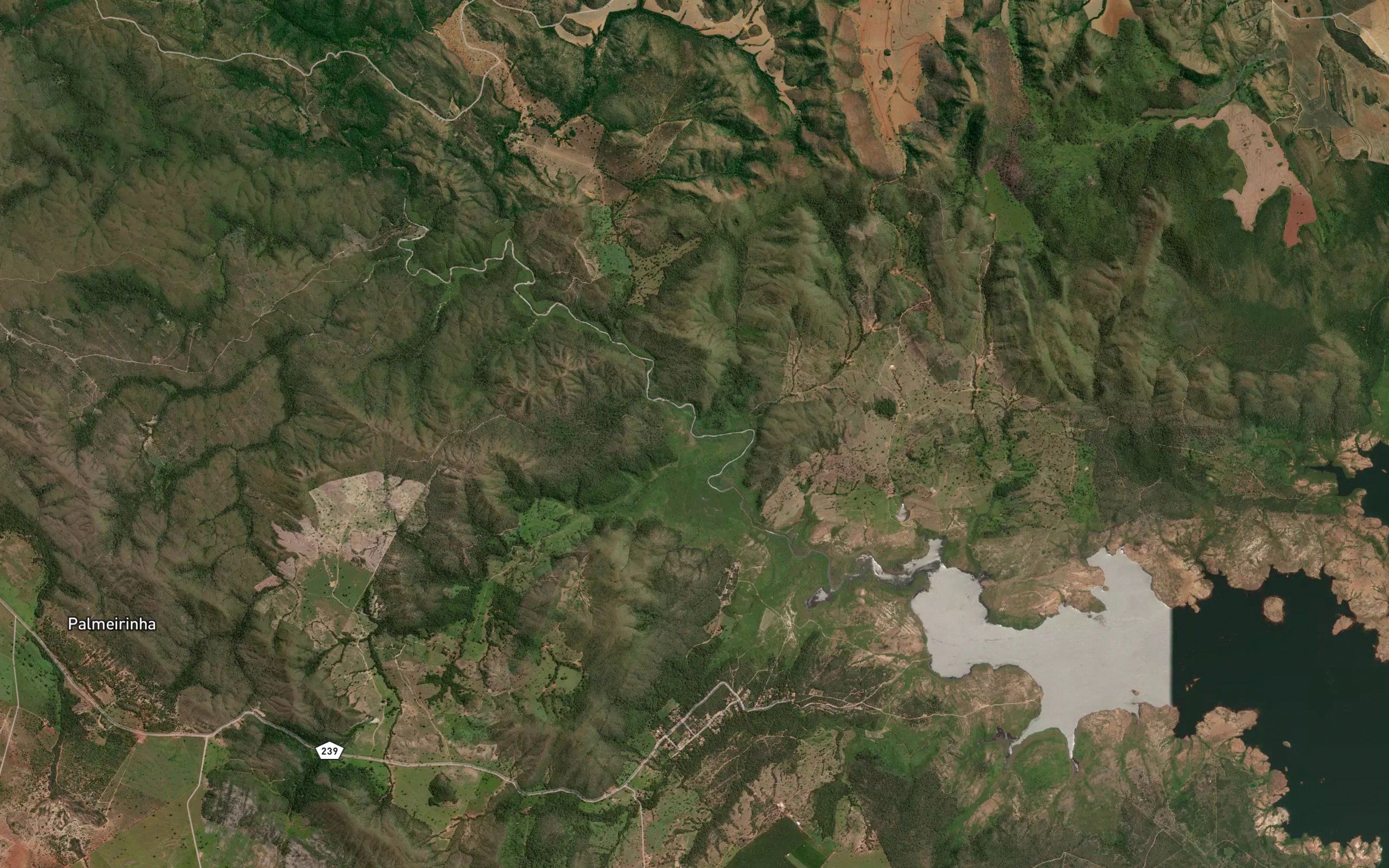 Rio Palmeira