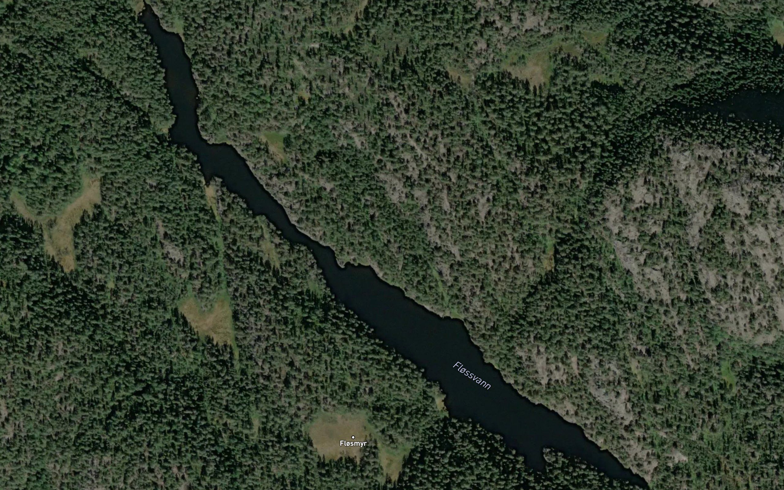 Flossvann