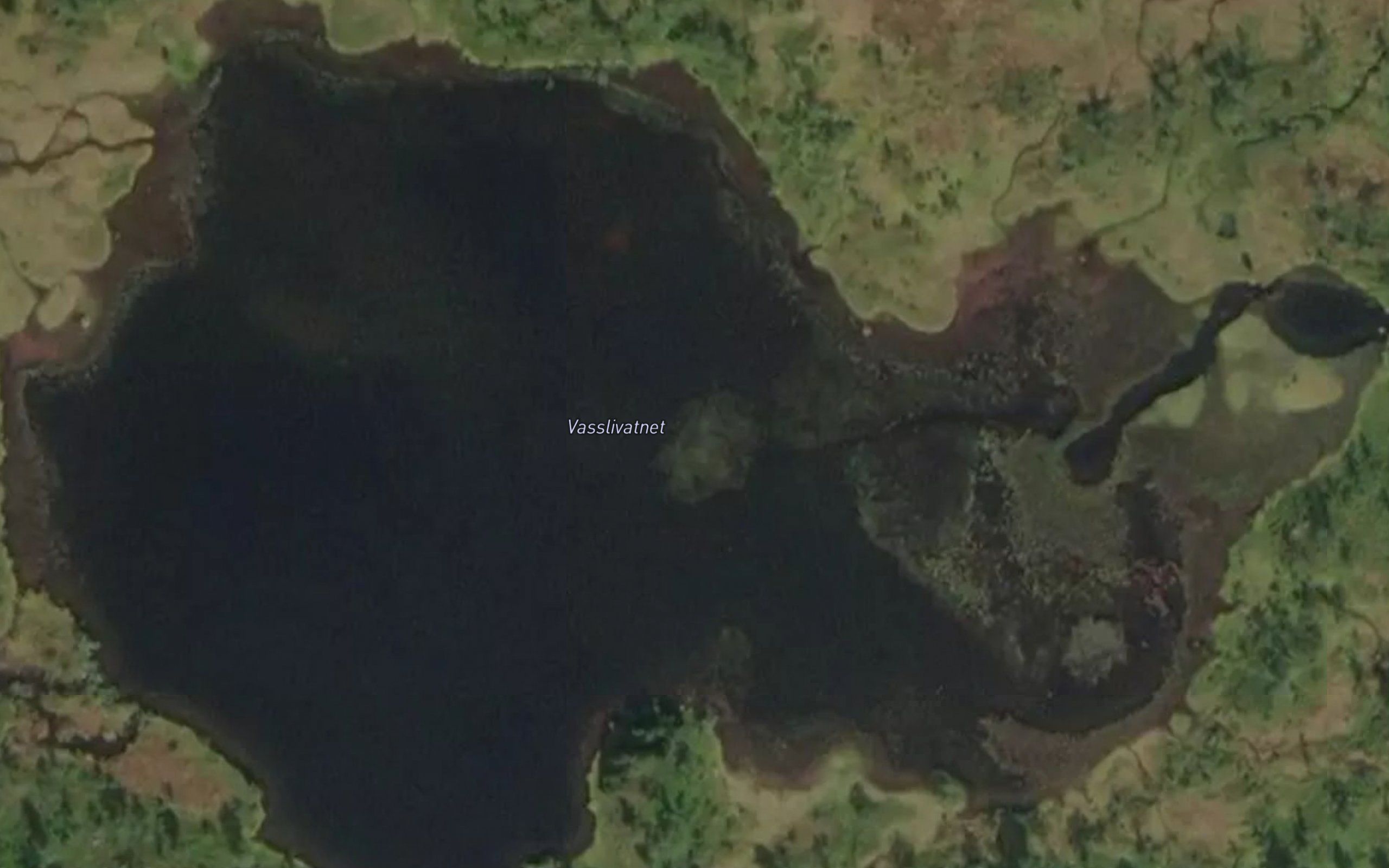 Fremste Vasslivatn