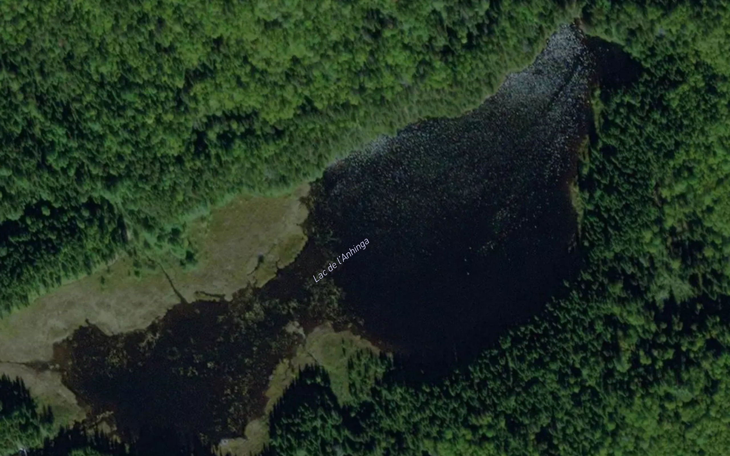 Lac de l'Anhinga