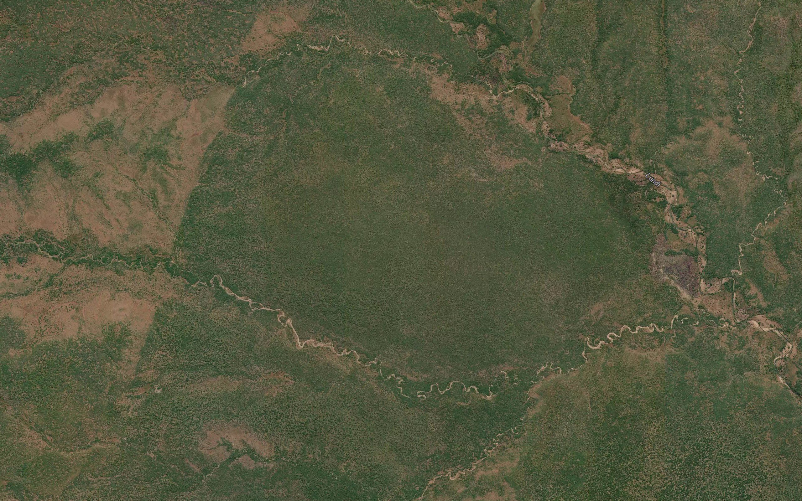 Chinongongo wa Ocewa