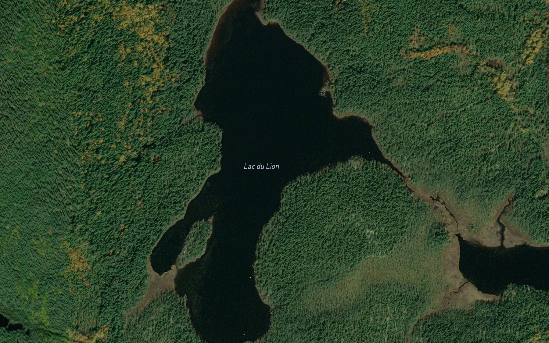 Satellite map of the Lac du Lion