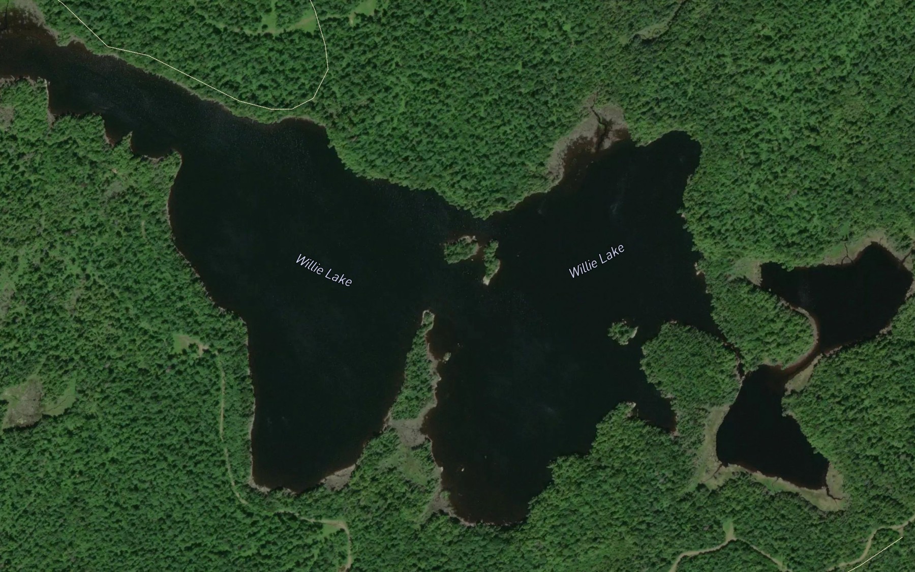 Satellite map of the Willie Lake