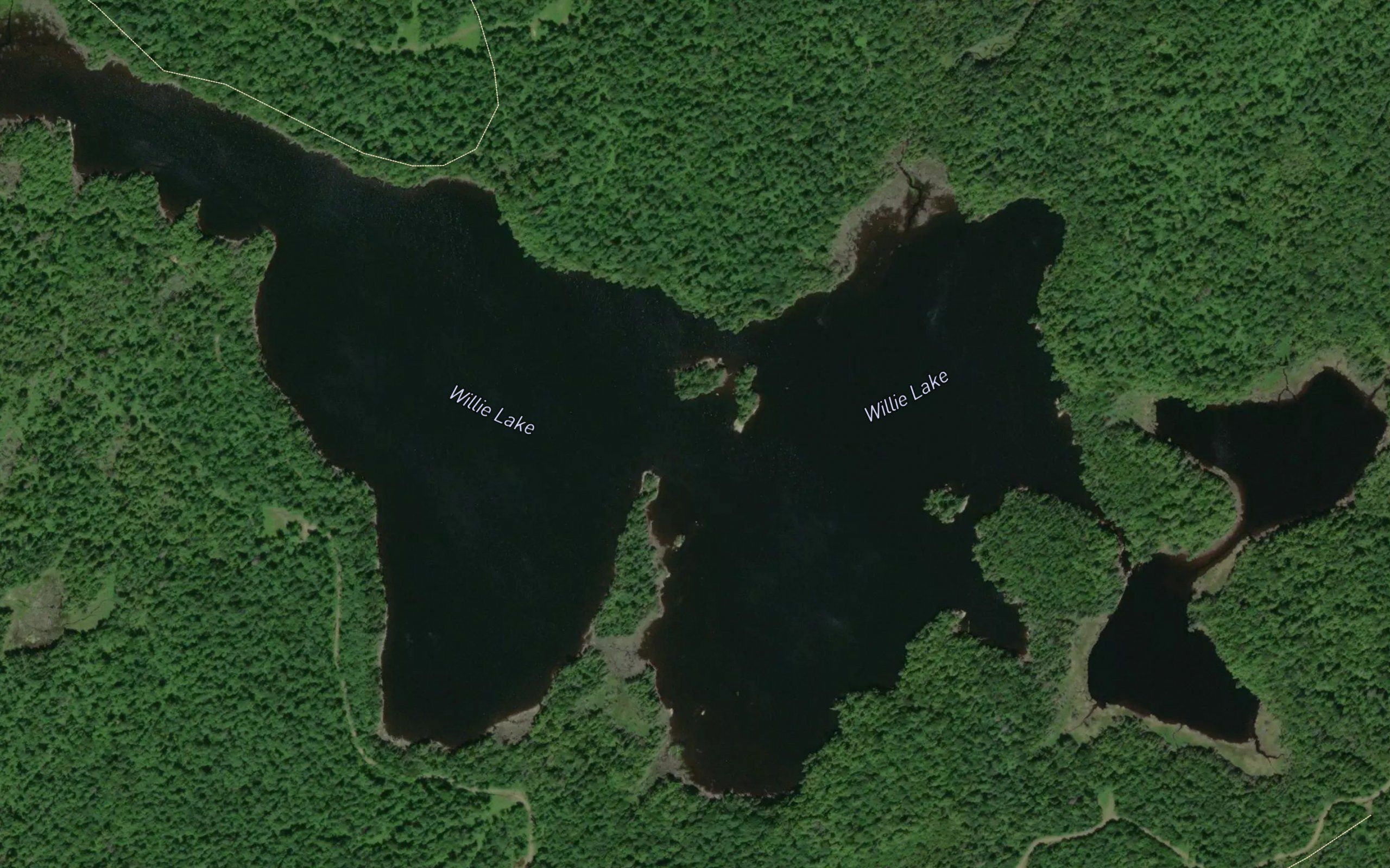 Willie Lake