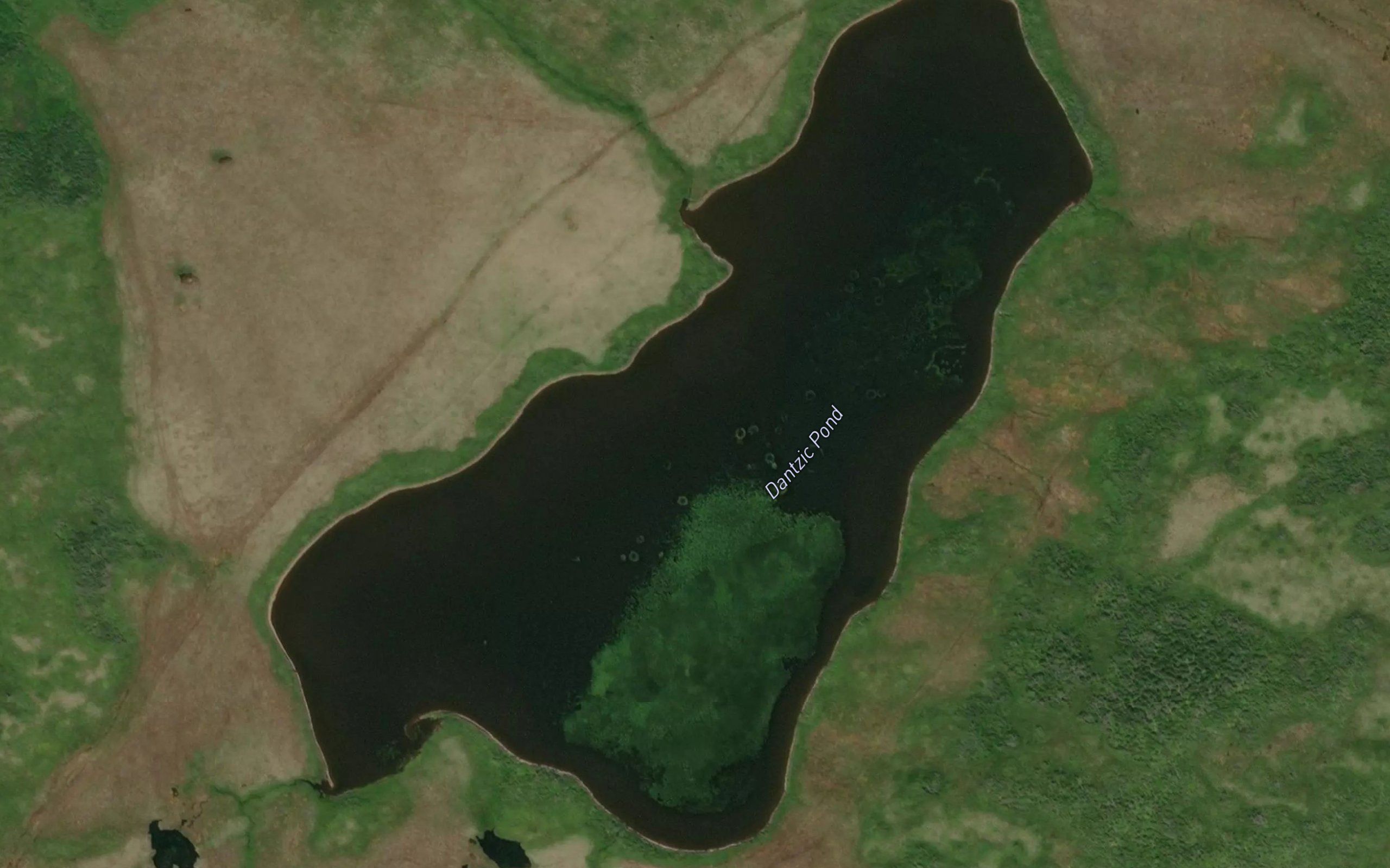 Dantzic Pond