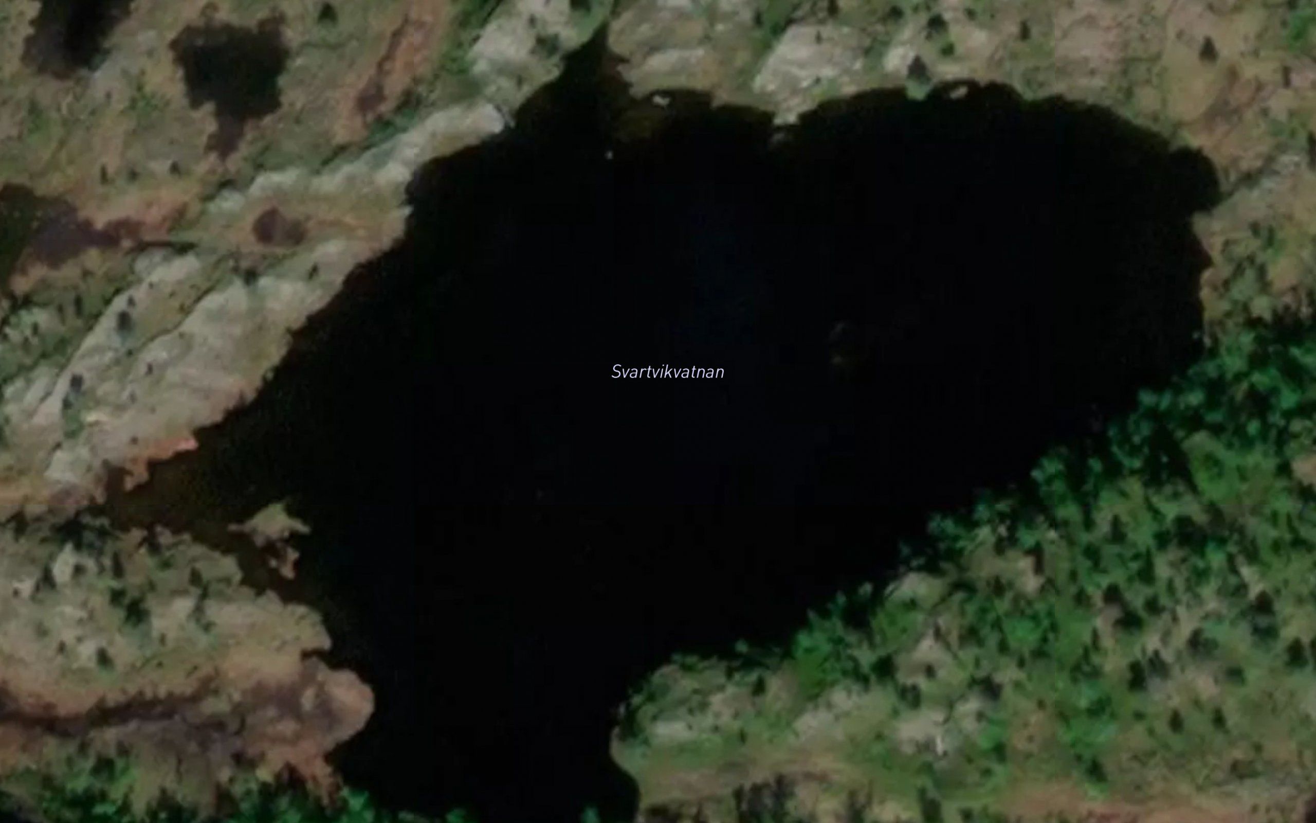 Svartvikvatnan