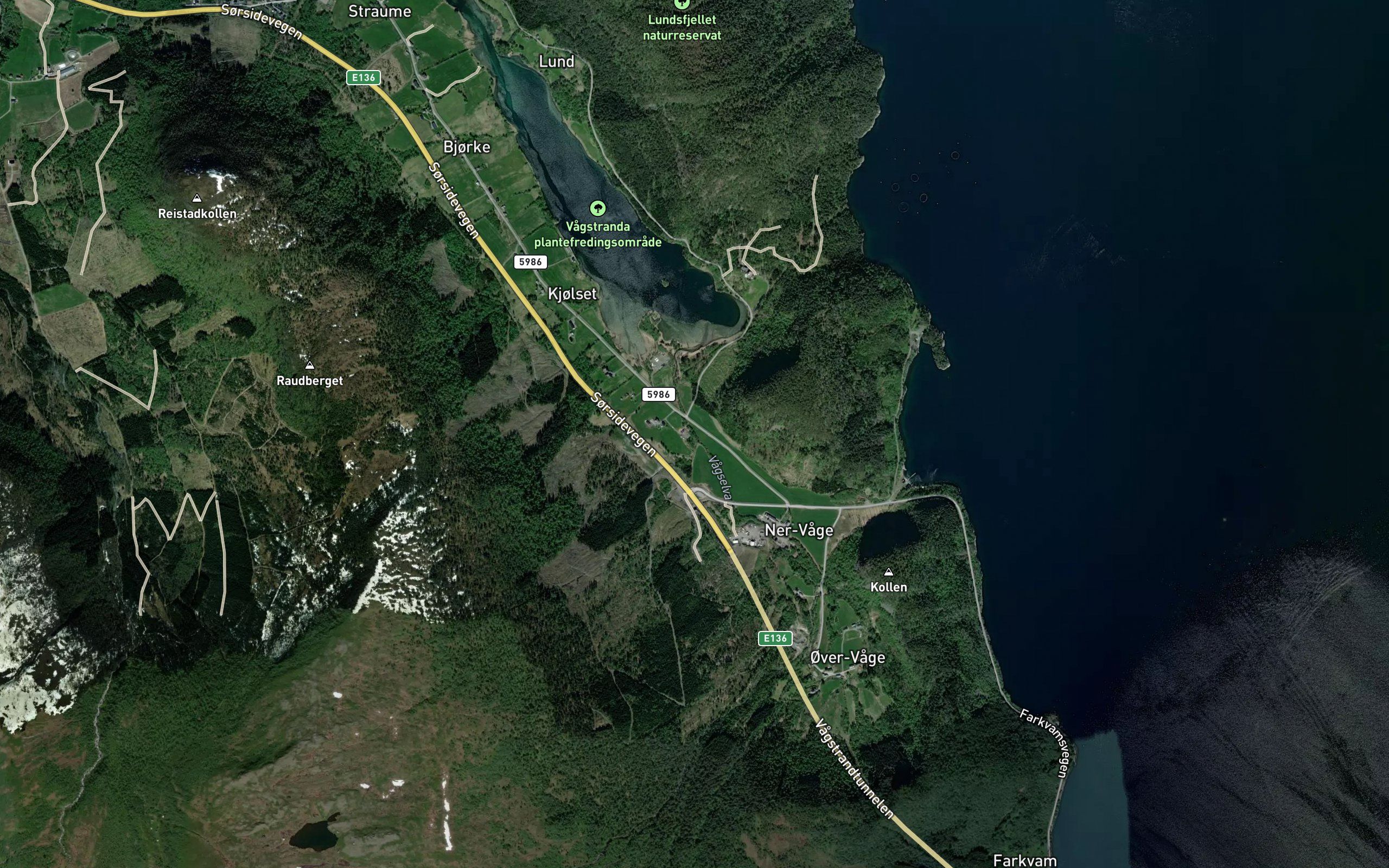 Vagselva