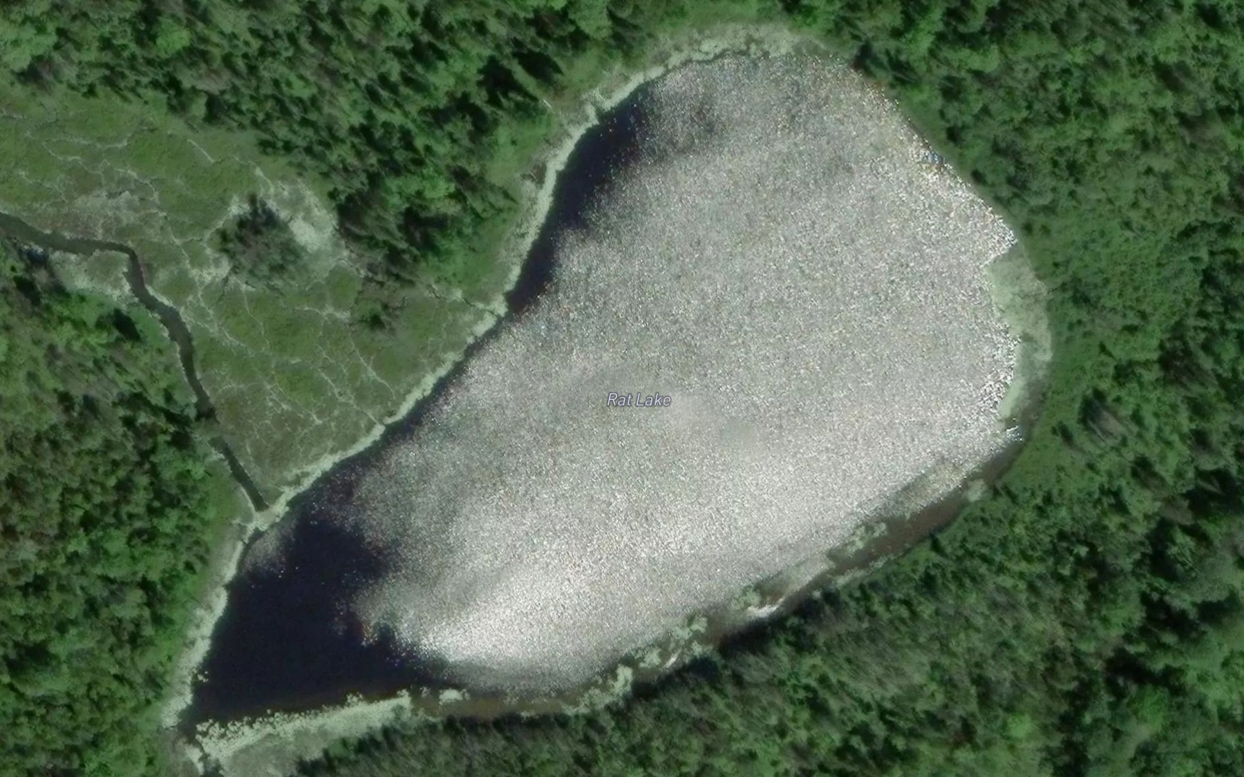 Satellite map of the Rat Lake