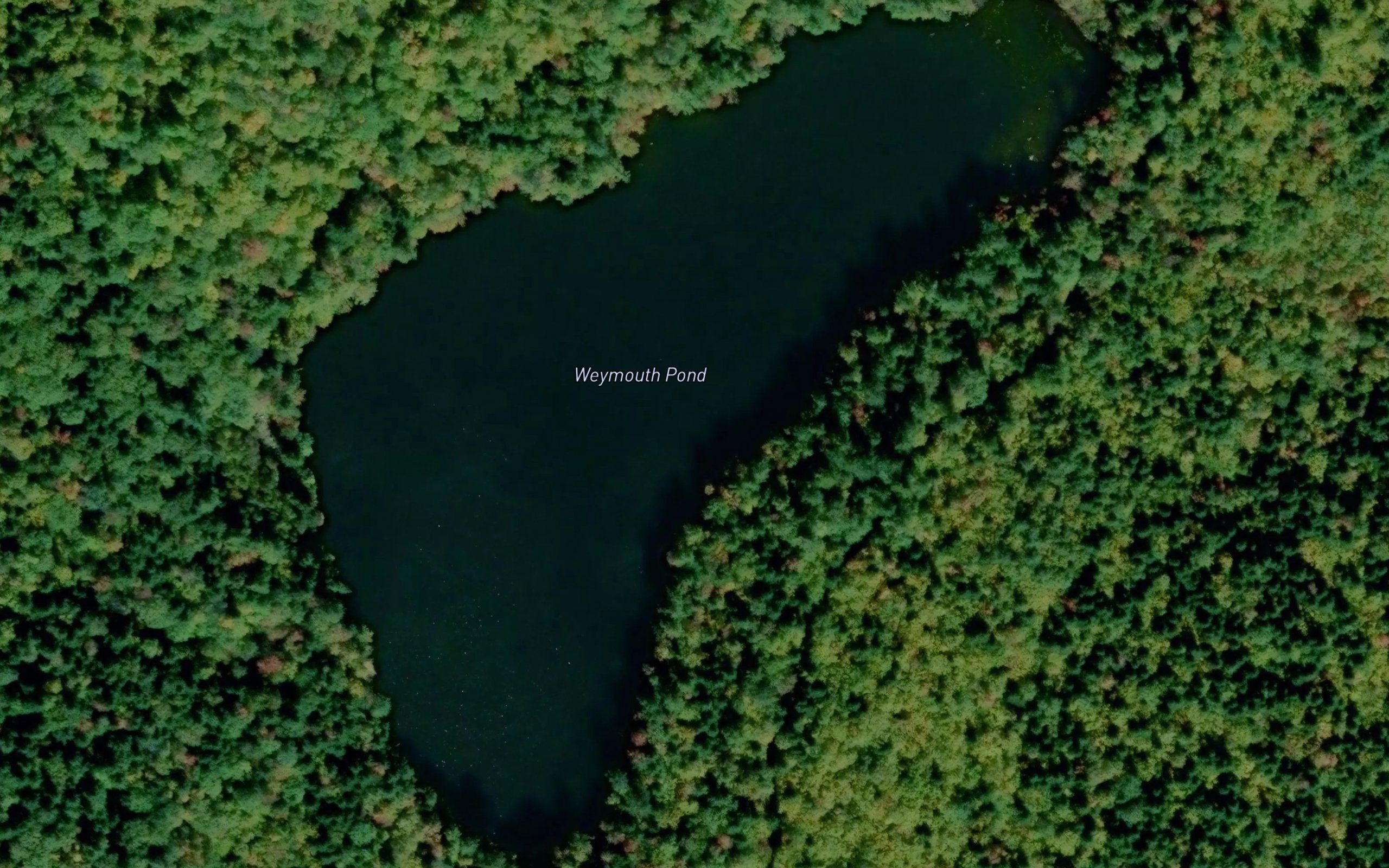 Weymouth Pond