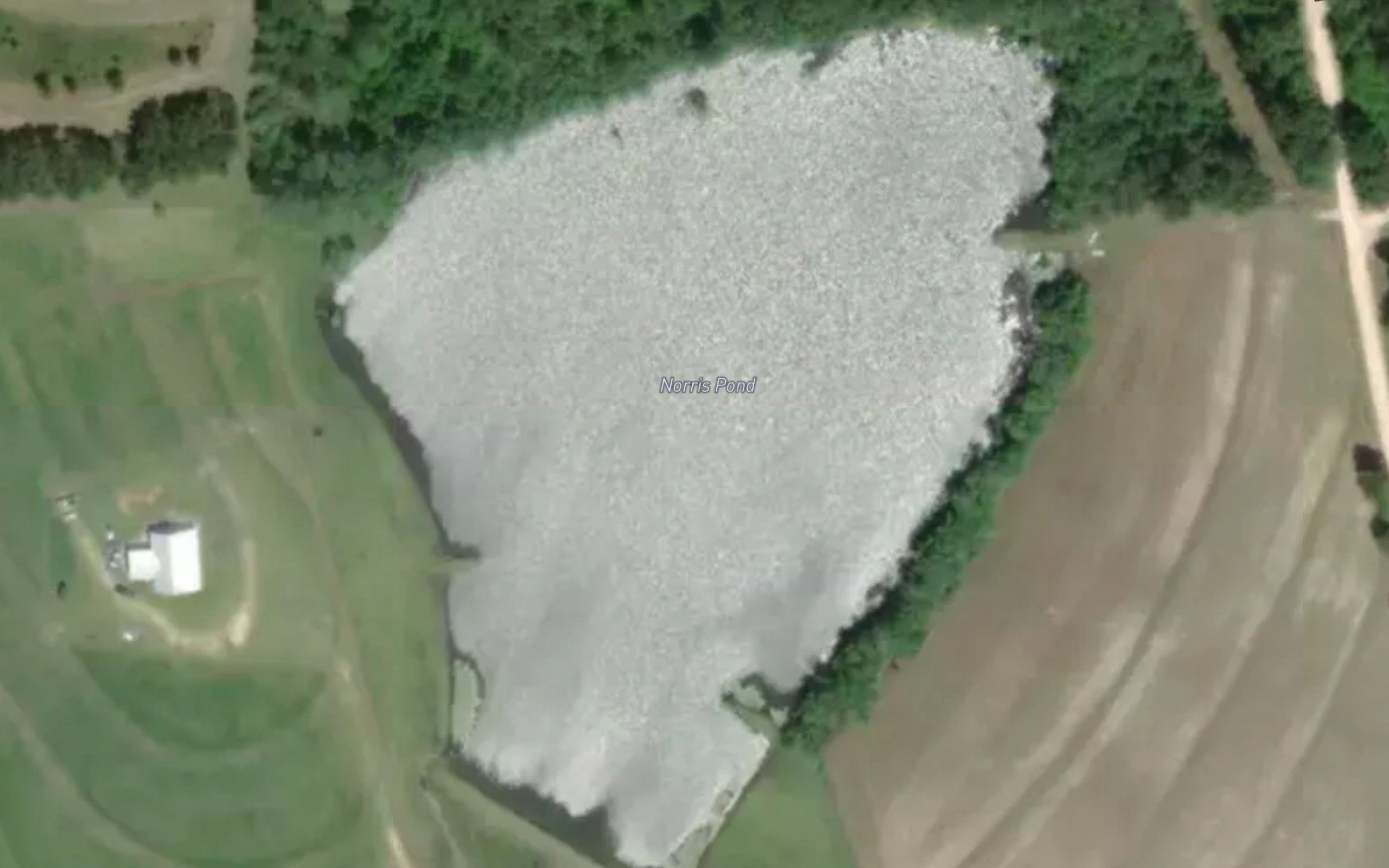 Norris Pond