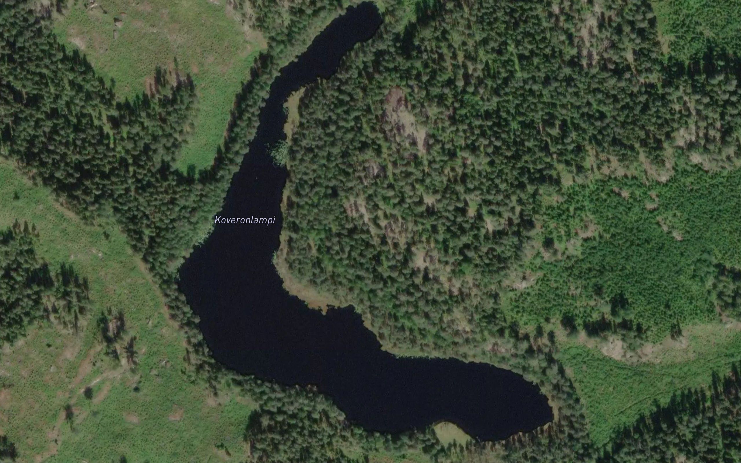Koveronlampi