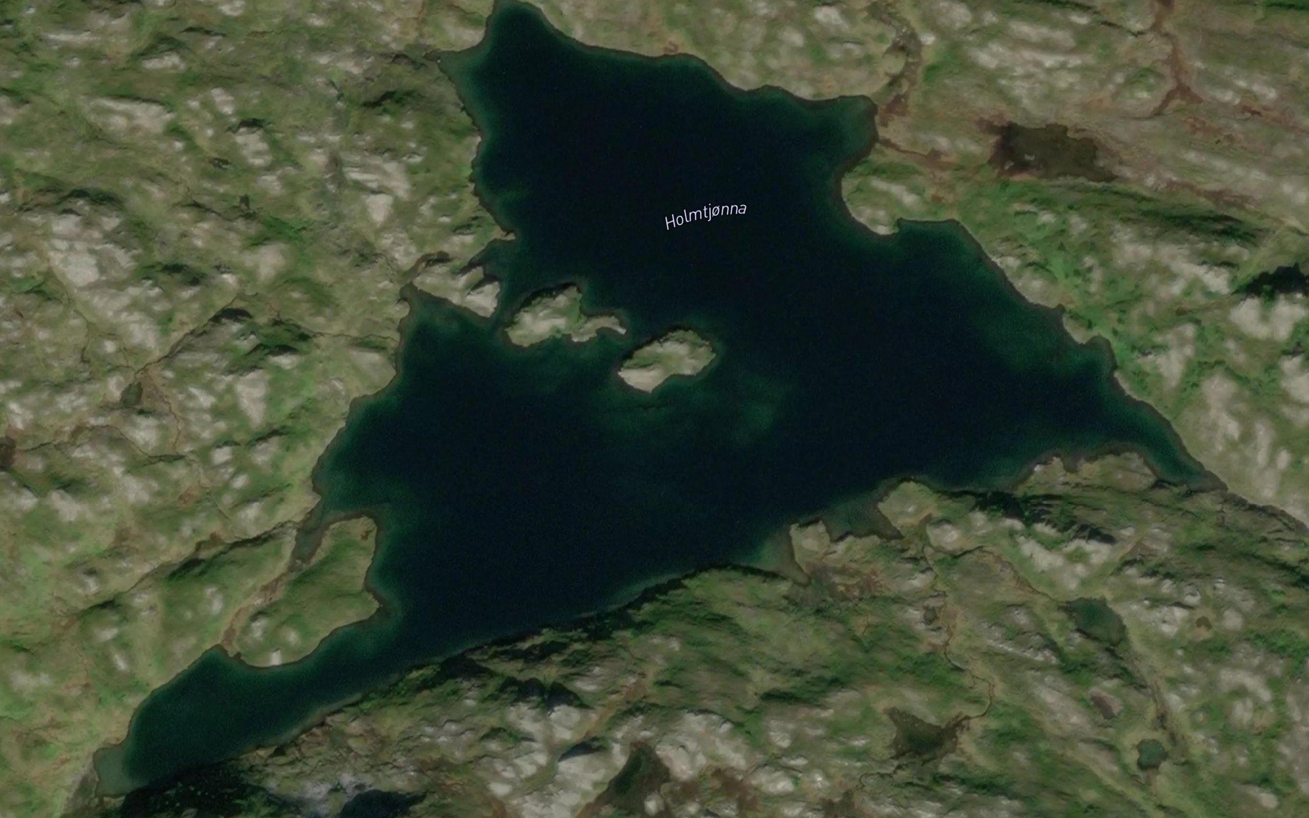 Holmtjorna
