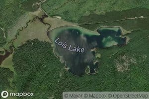 Lois Lake
