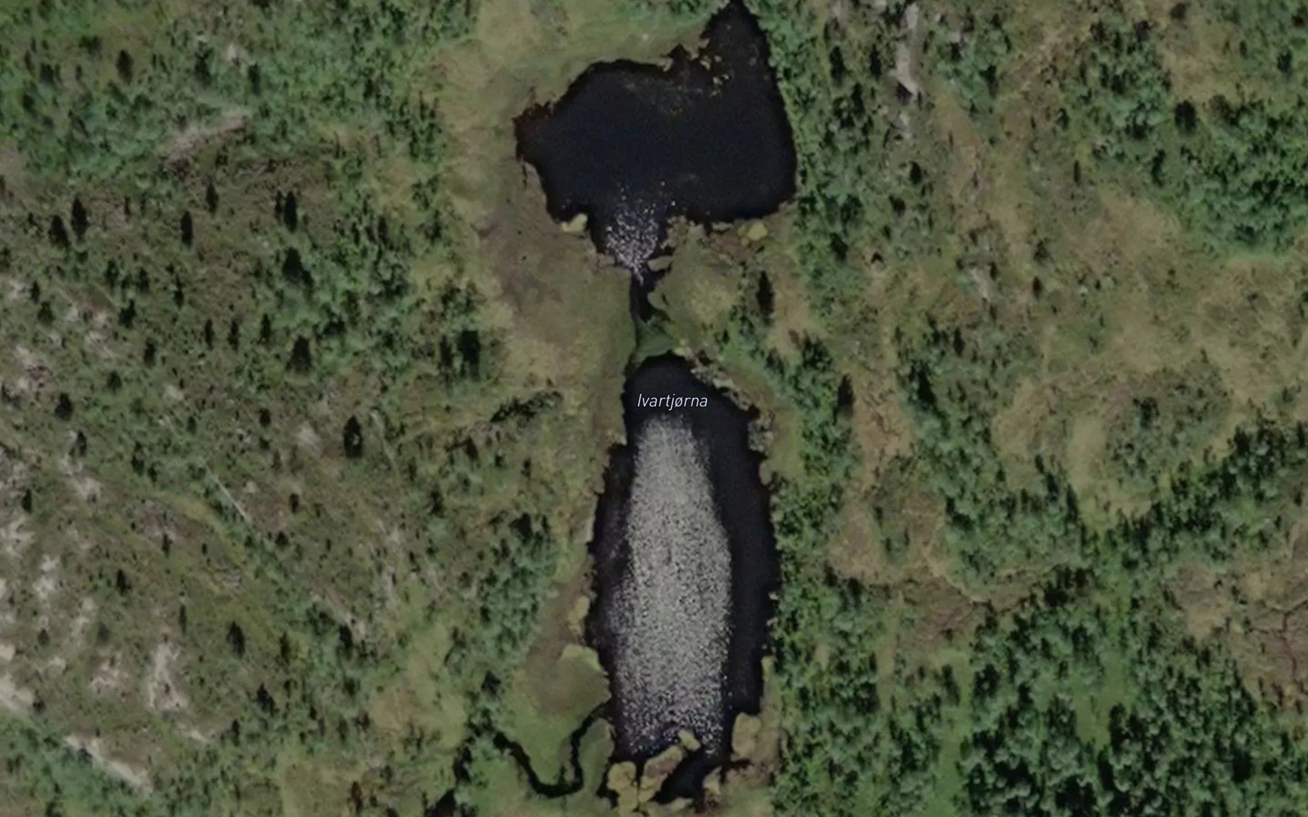 Ivartjorna