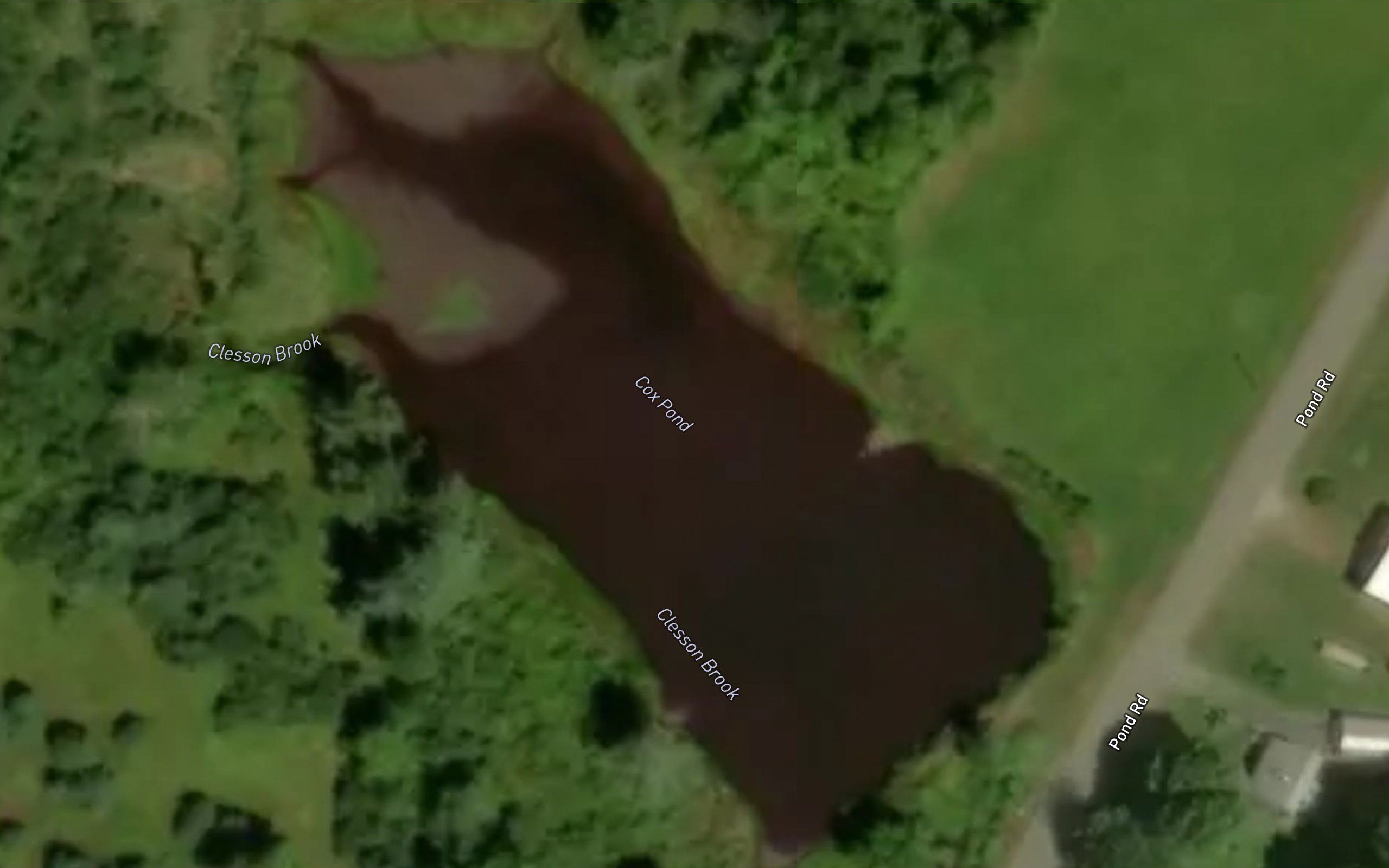 Cox Pond