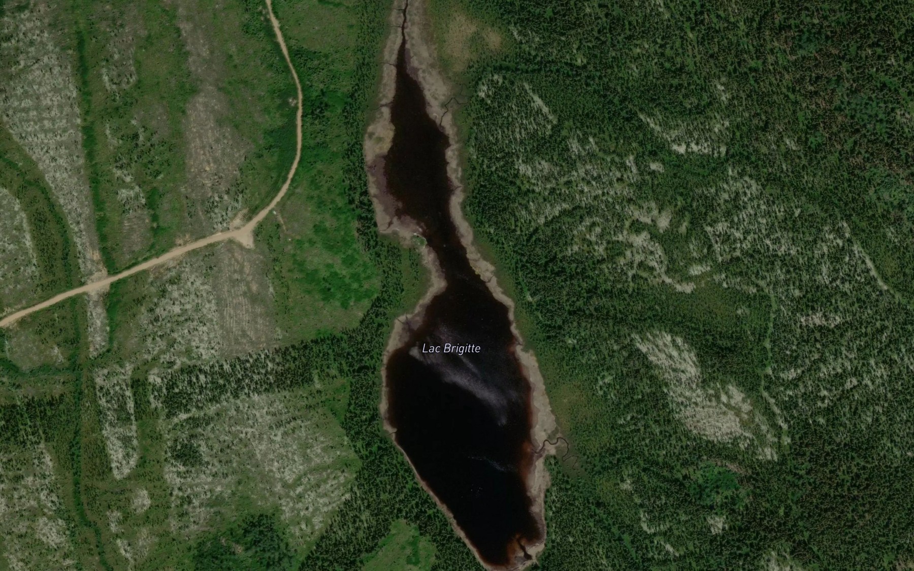 Satellite map of the Lac Brigitte
