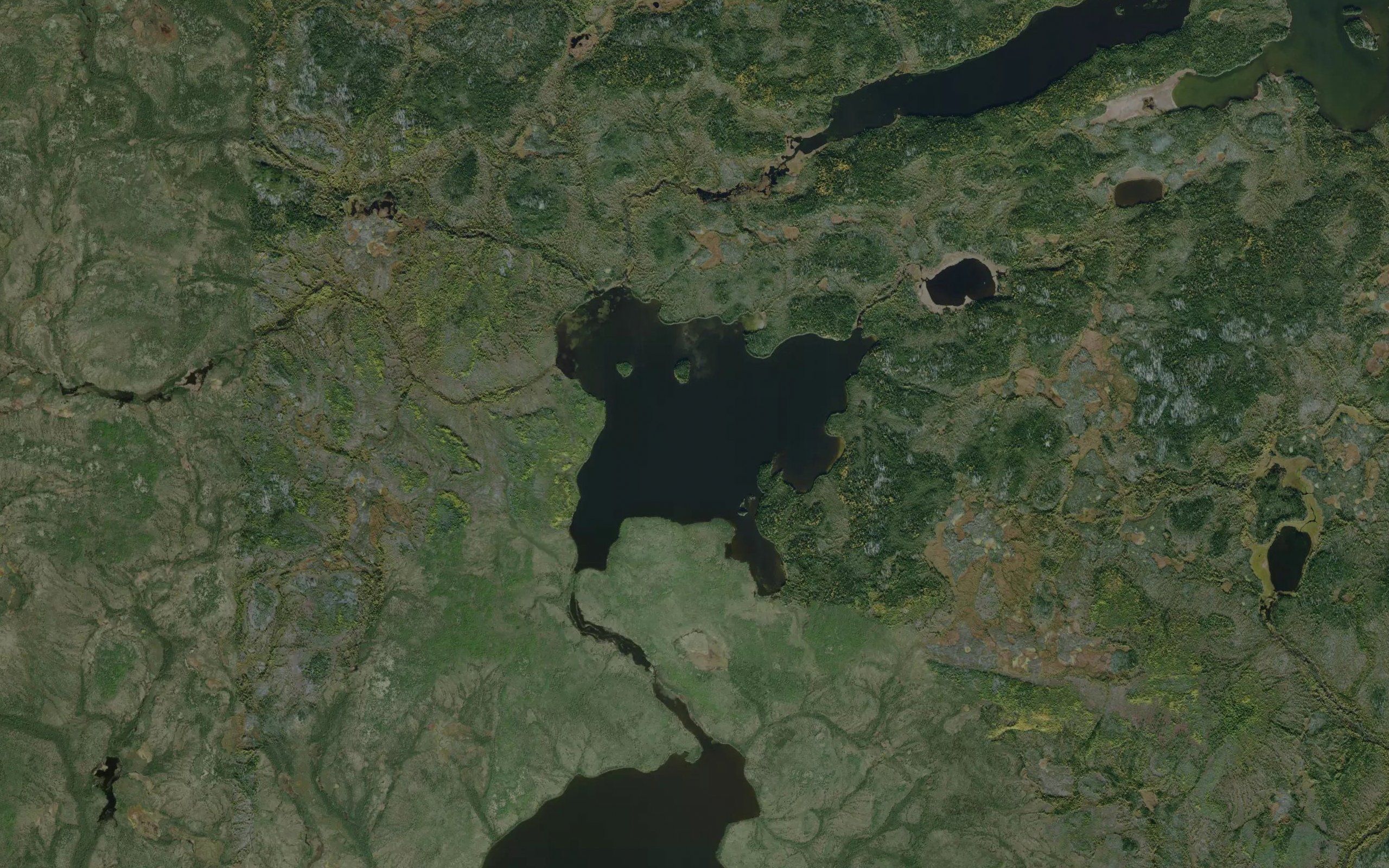 Bayer Lake