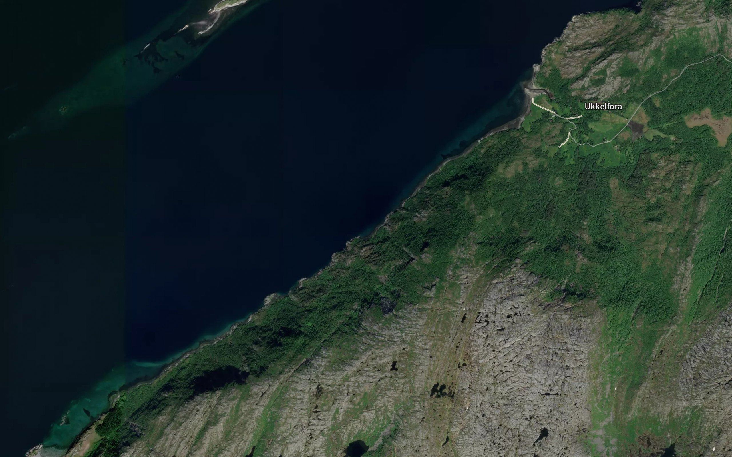Skjerjevika