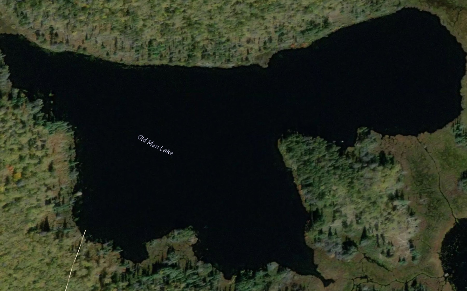 Satellite map of the Old Man Lake