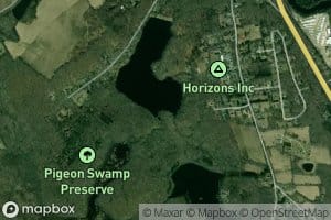 Pigeon Swamp Brook