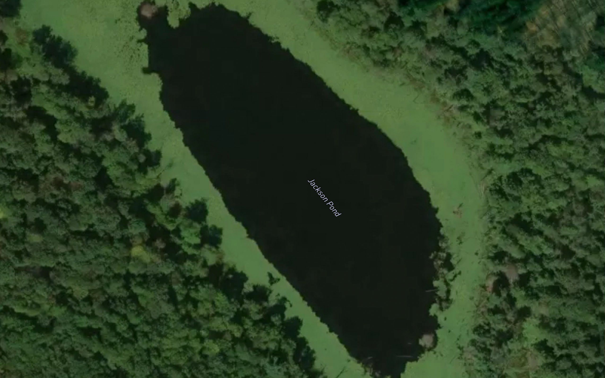 Jackson Pond