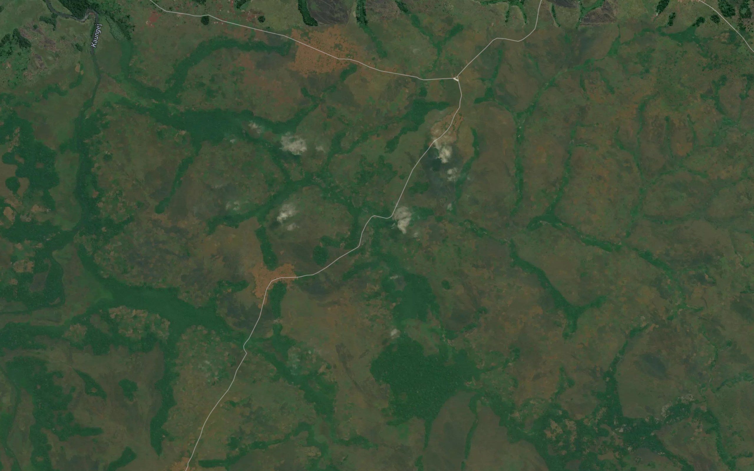 Musambi