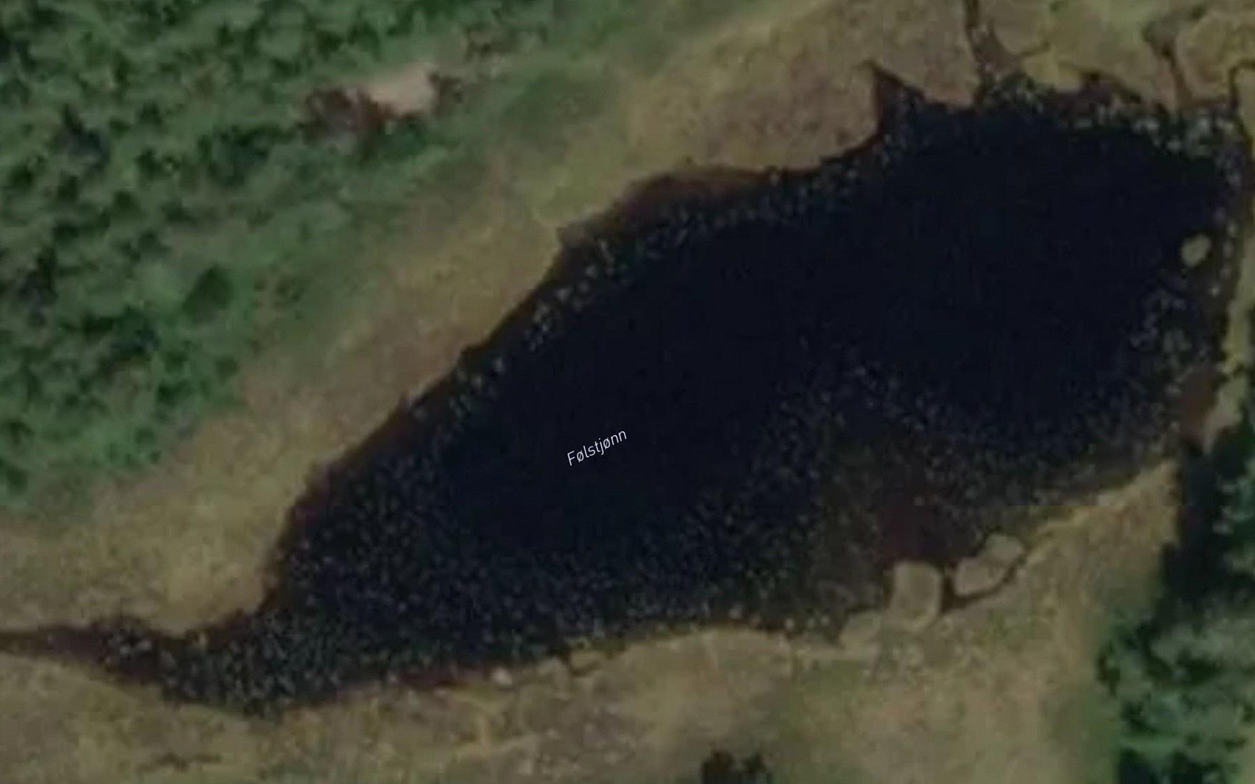 Satellite map of the Folstjonn