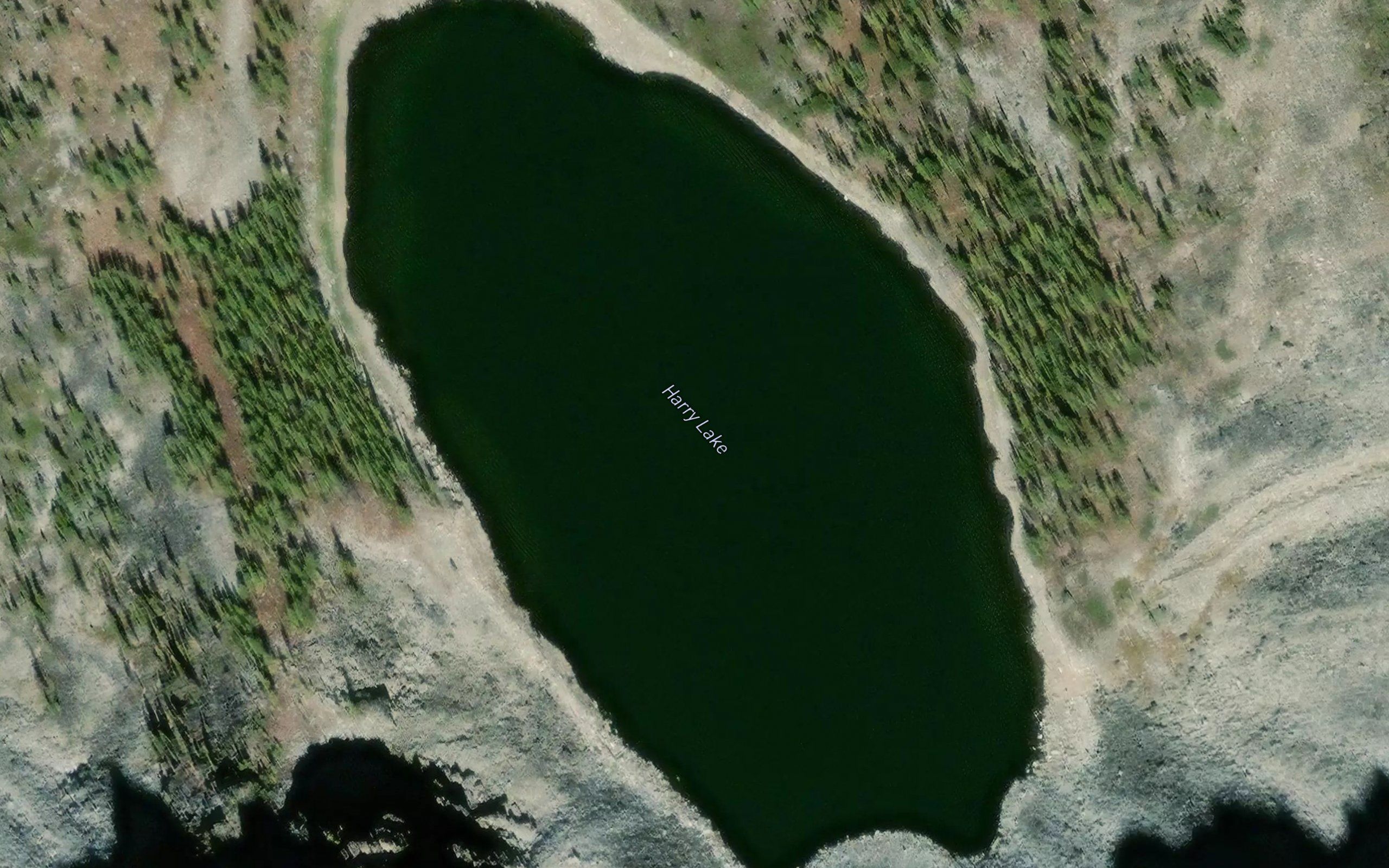 Harry Lake
