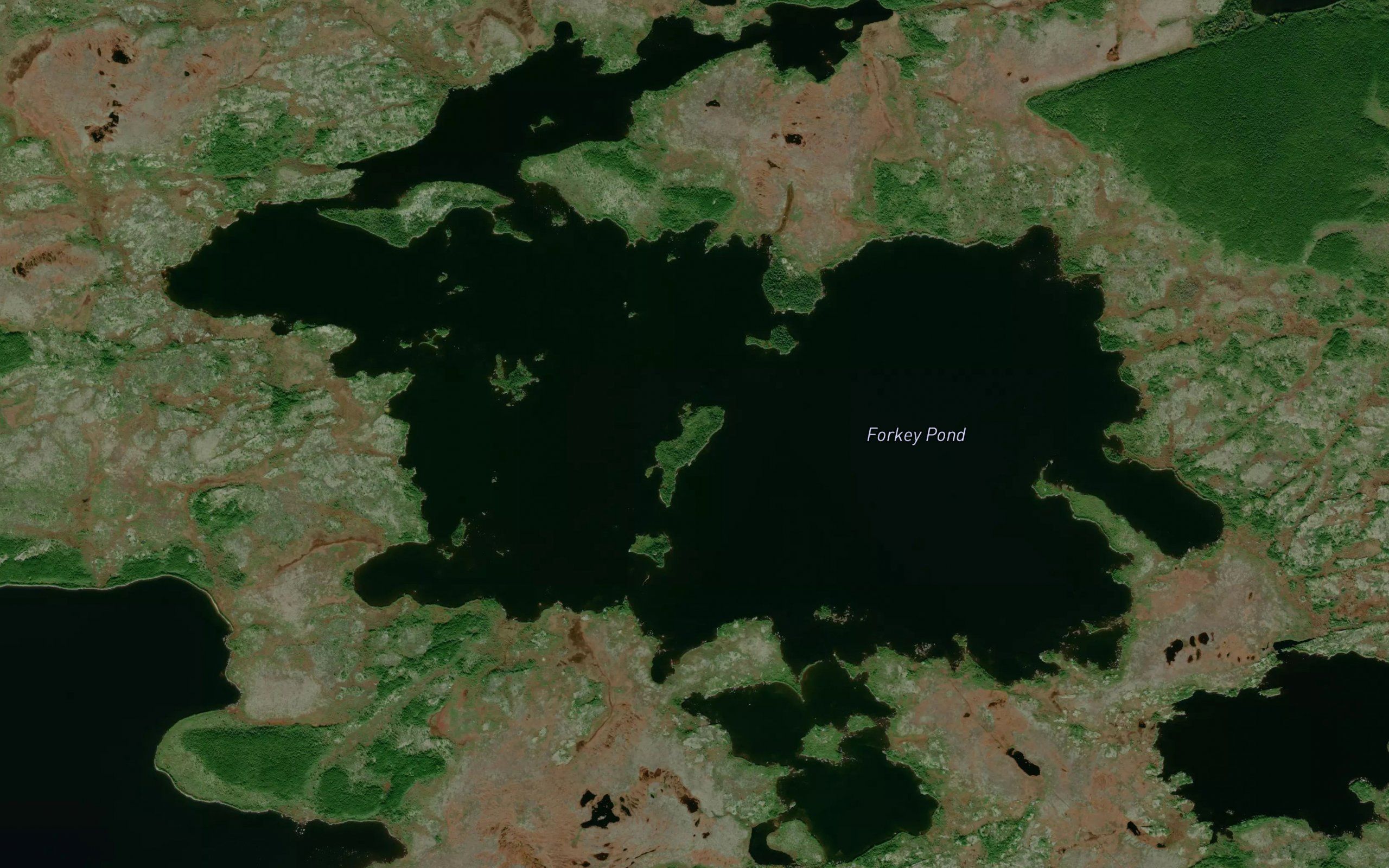Forked Pond