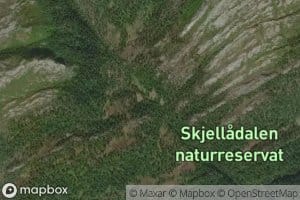 Skjorbekken