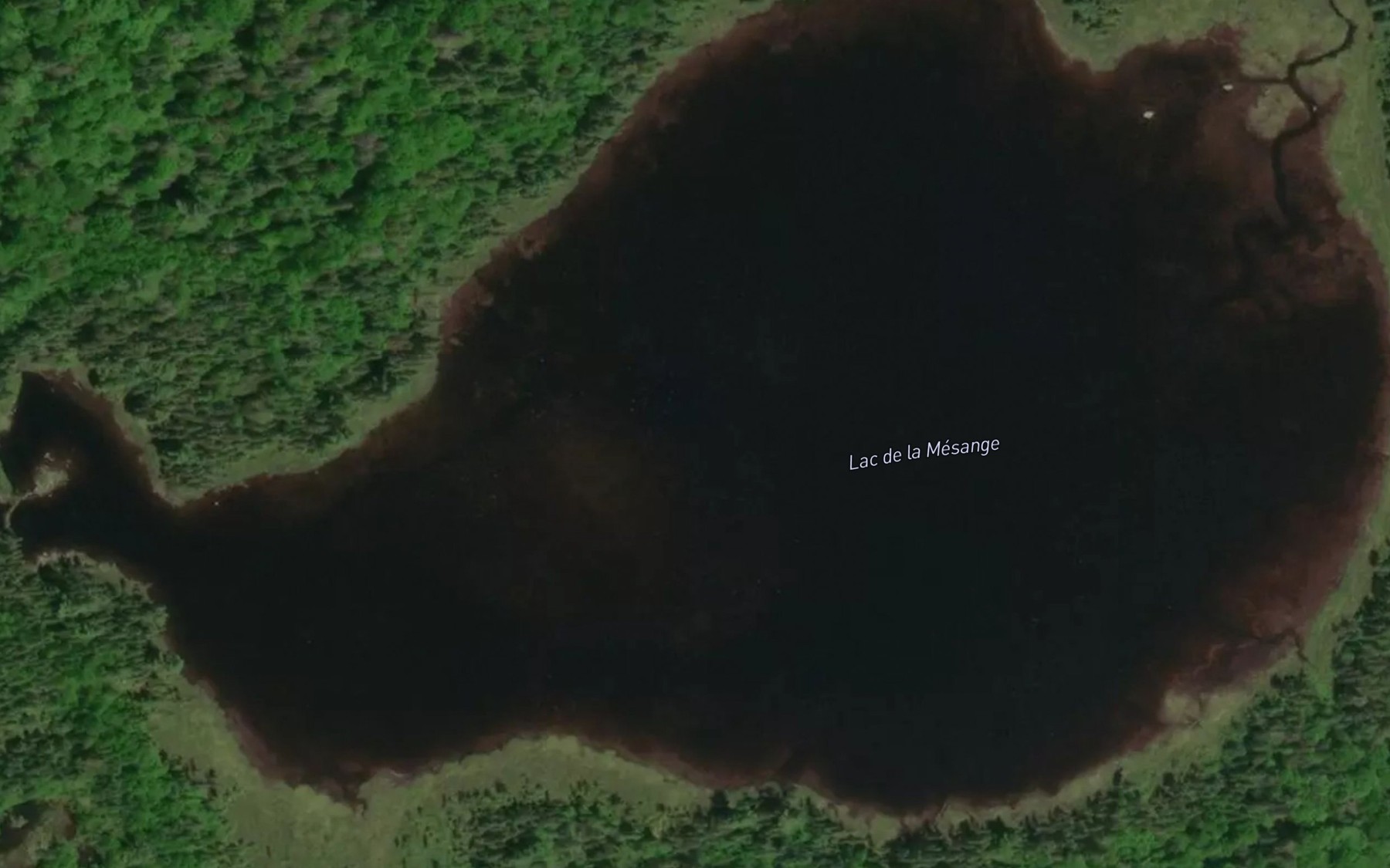 Satellite map of the Lac de la Mesange