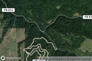 Molly Creek