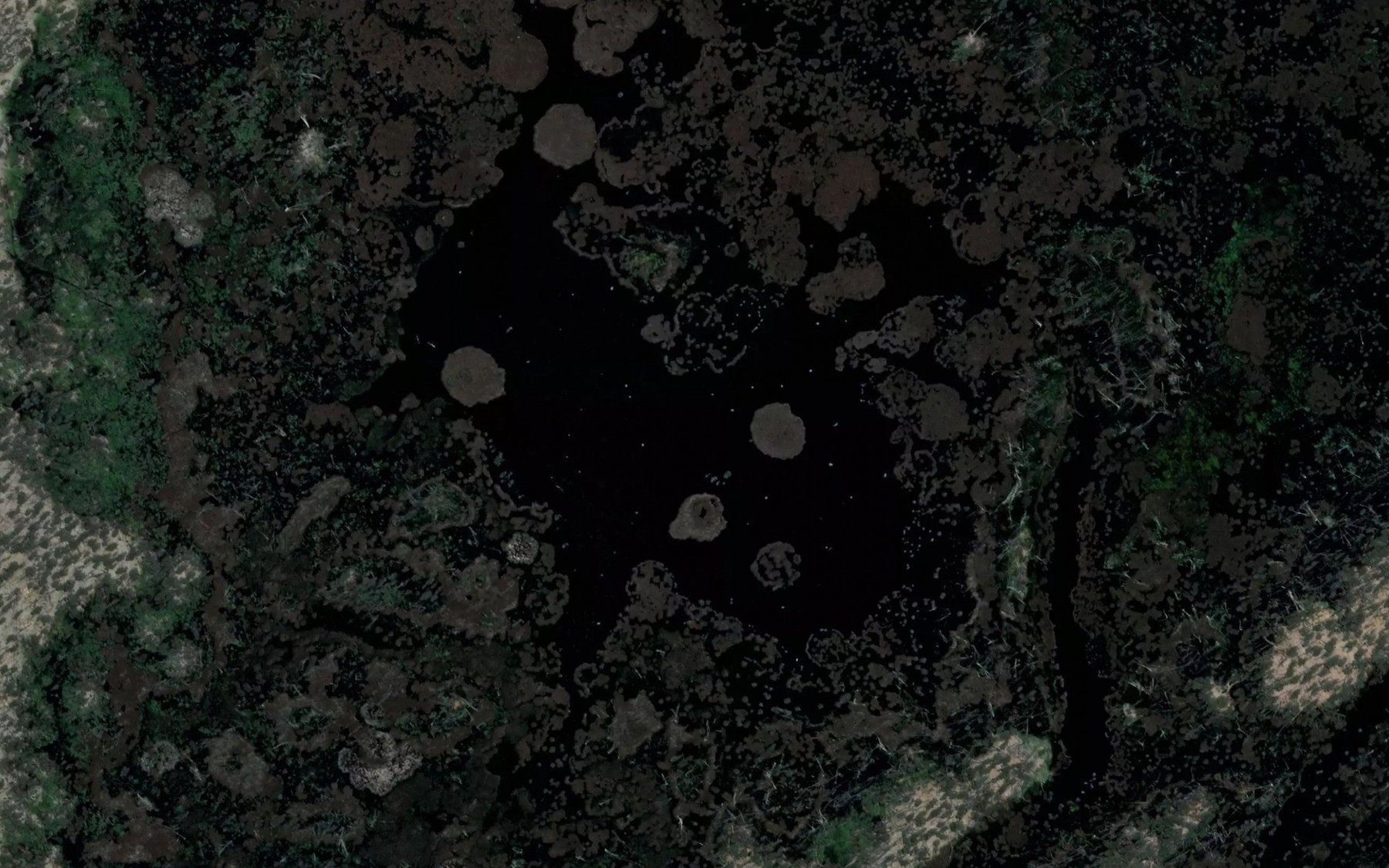 Satellite map of the Duck Lagoon